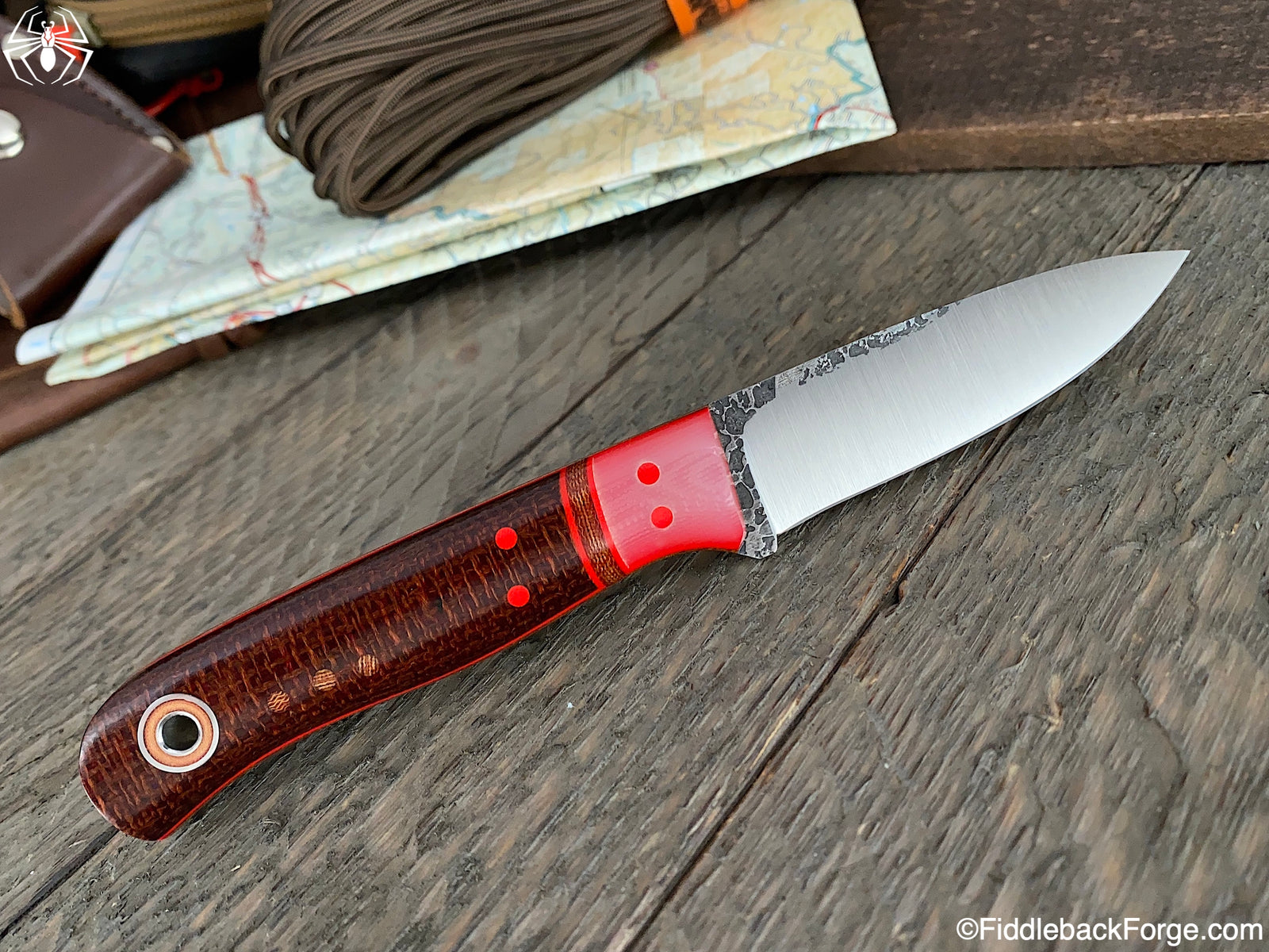 Fiddleback Friday 8/21/20