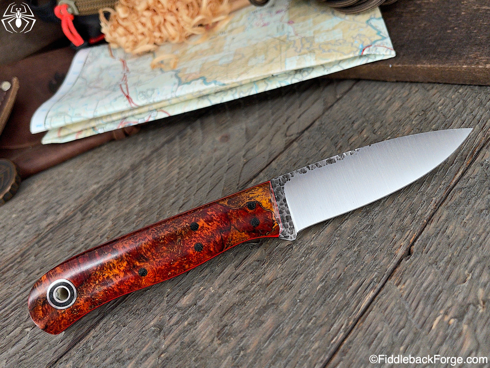 Fiddleback Friday 6/18/21