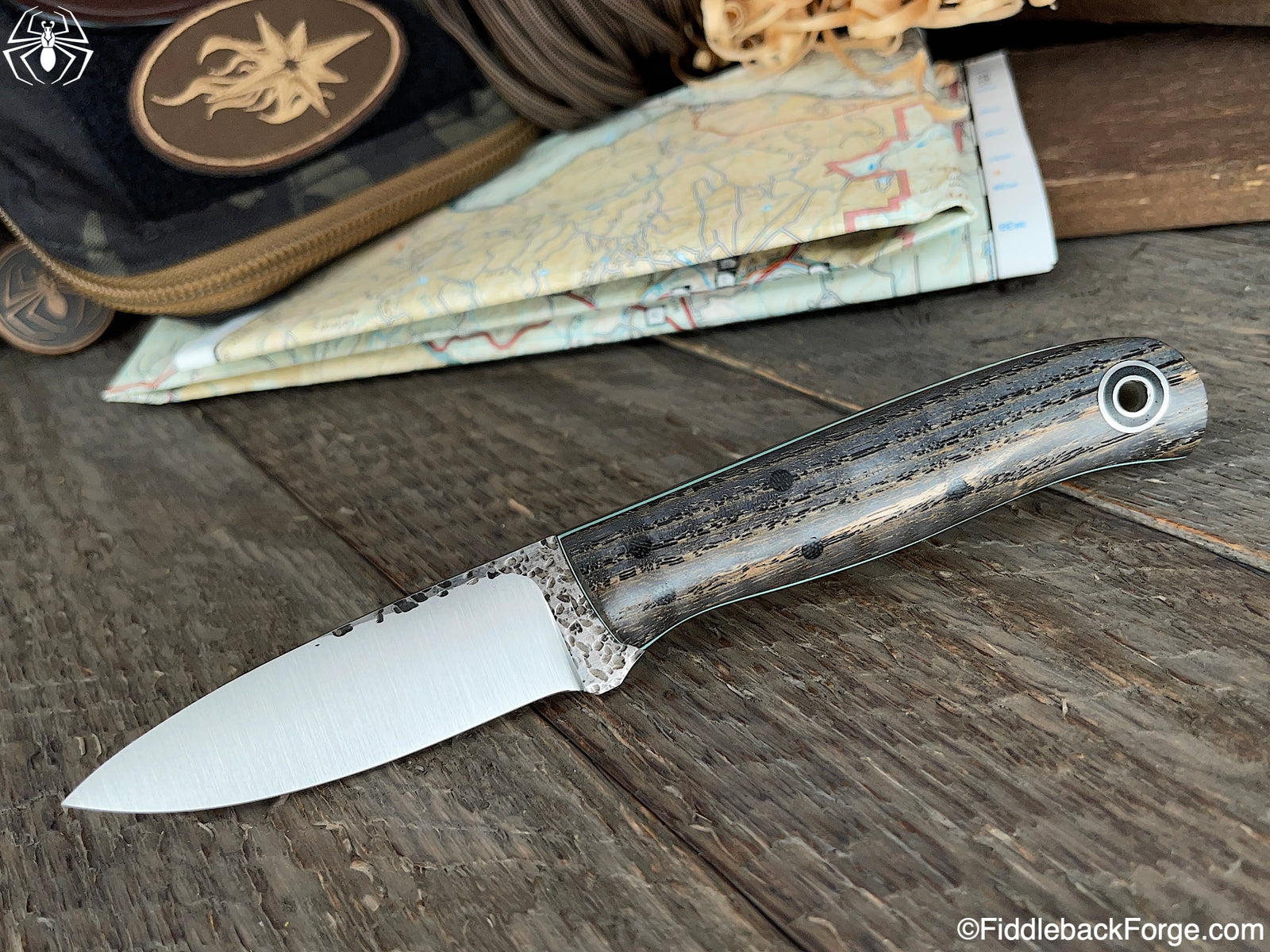 Fiddleback Friday 10/1/21