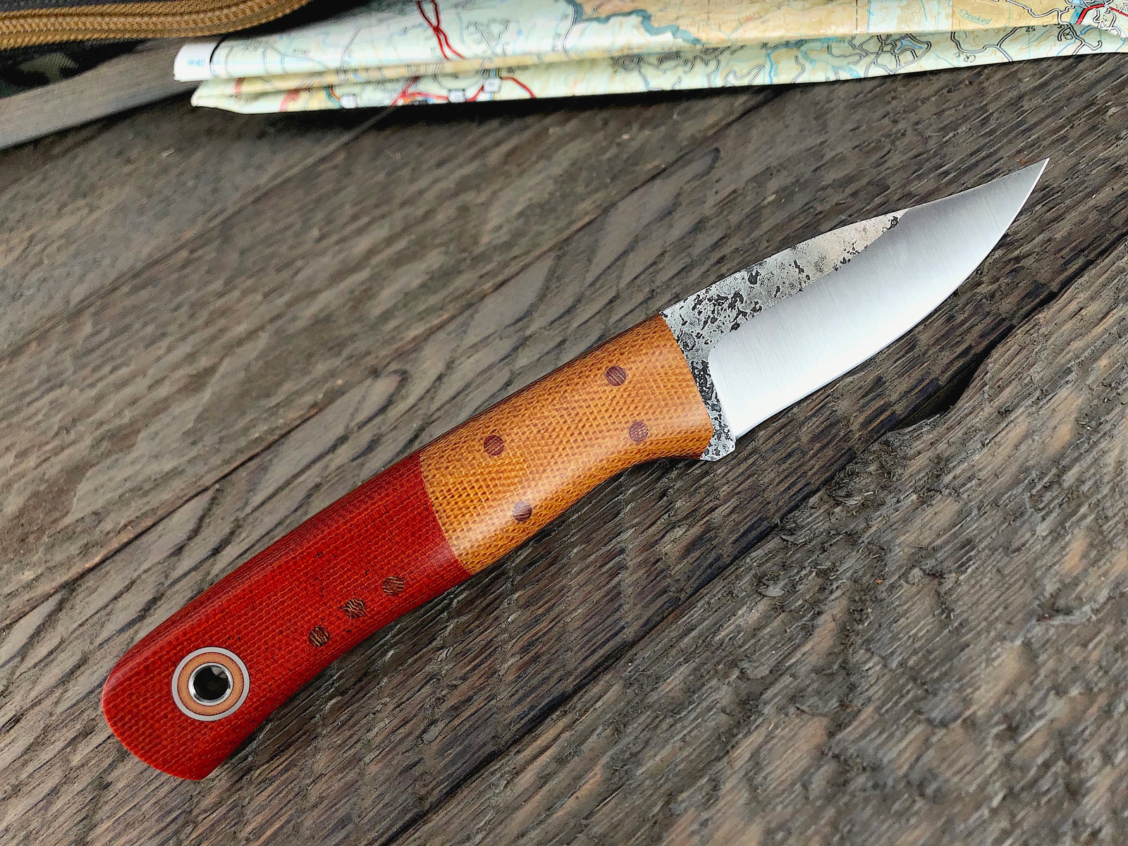 Fiddleback Friday 8/23/19