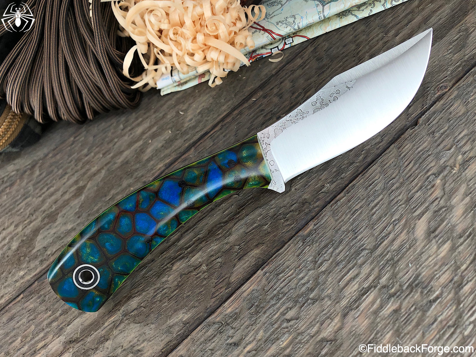 Fiddleback Friday 4/12/19