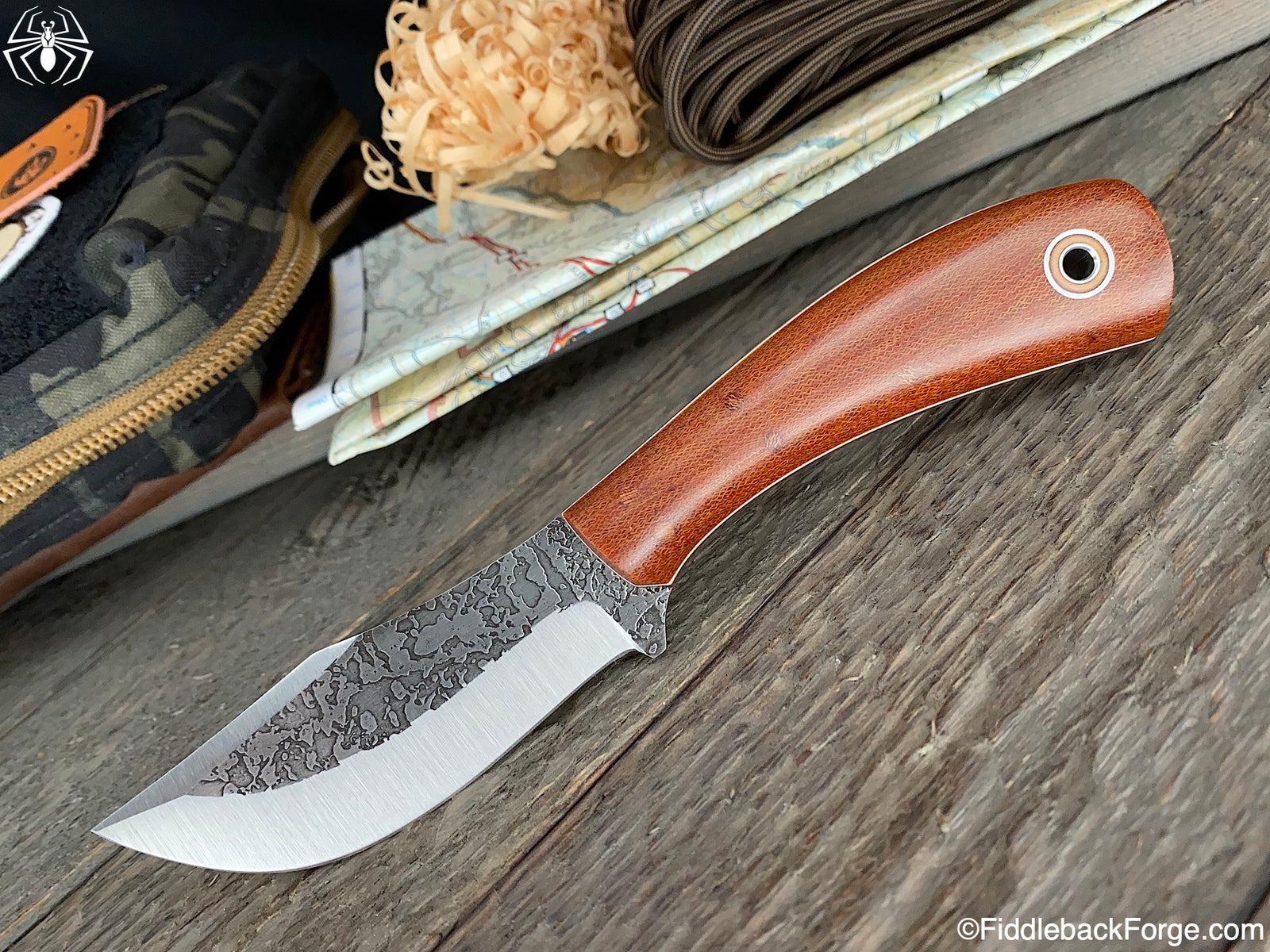 Fiddleback Friday 4/24/20