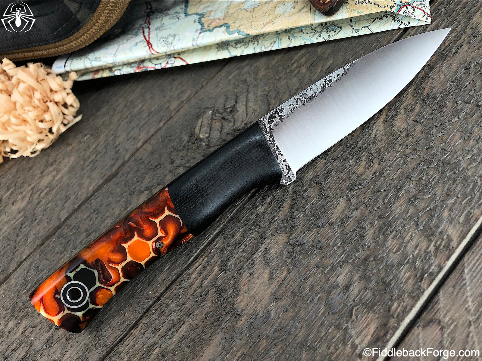 Fiddleback Friday 6/21/19