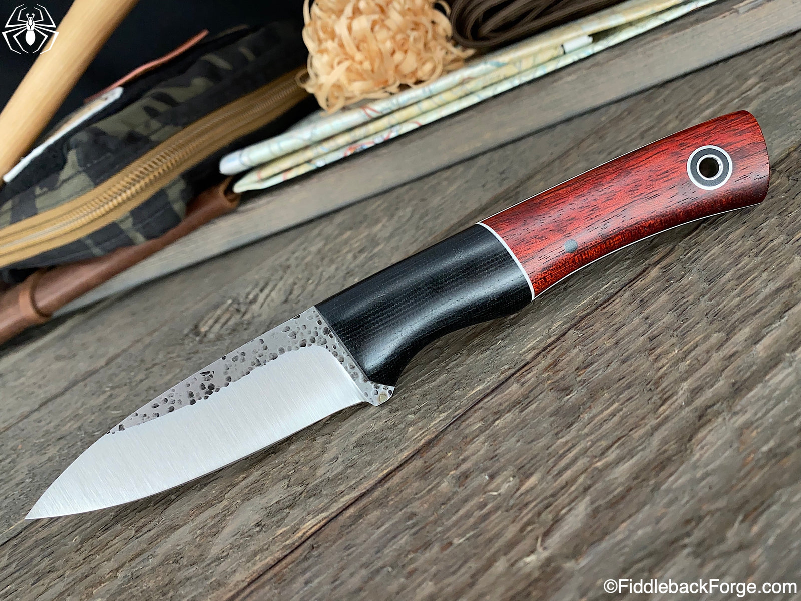 Fiddleback Friday 5/22/20