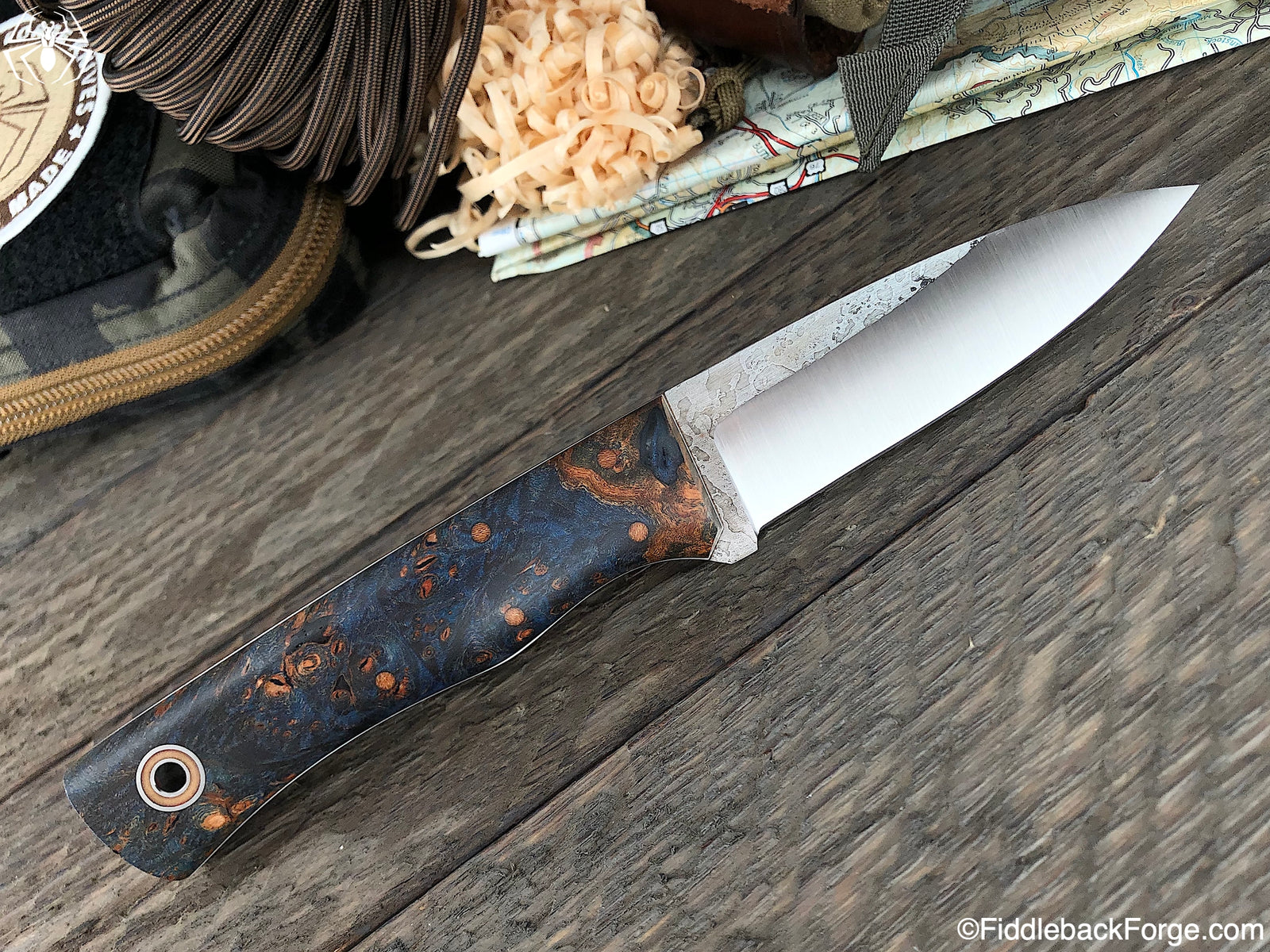 Fiddleback Friday 3/8/19