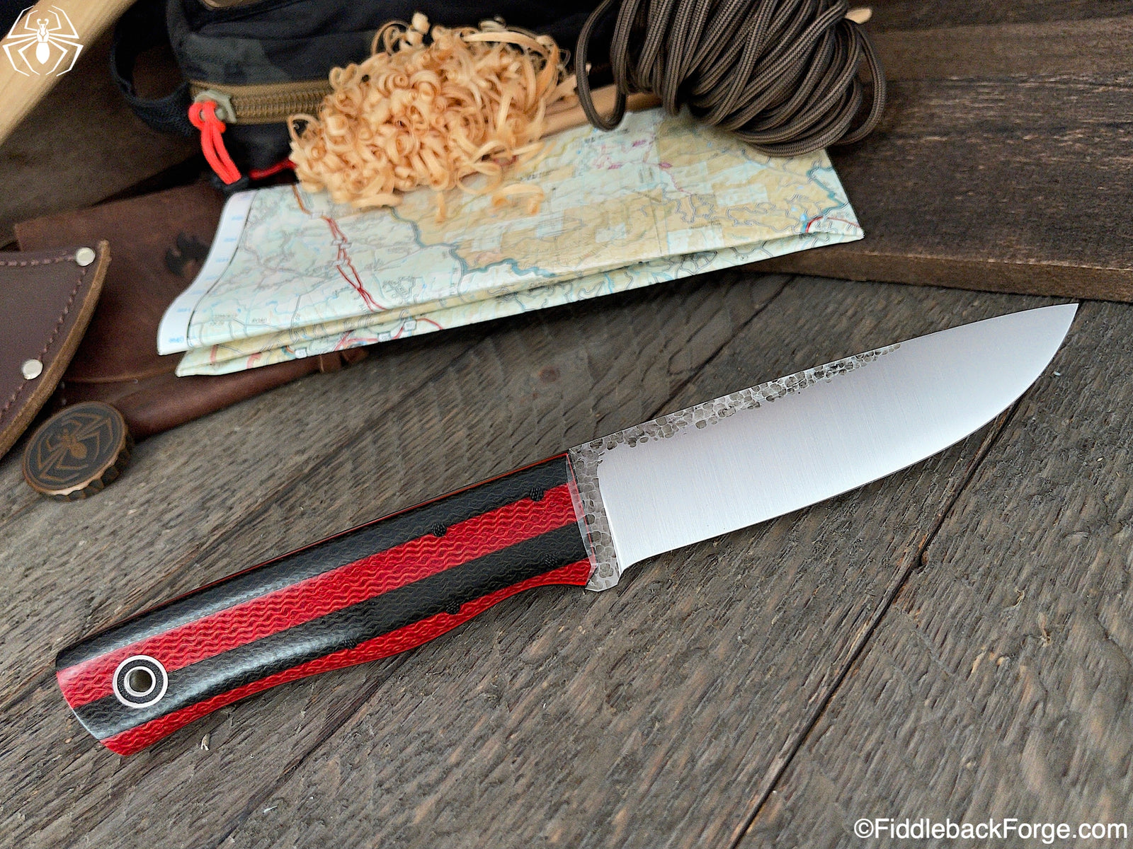 Fiddleback Friday 6/25/21