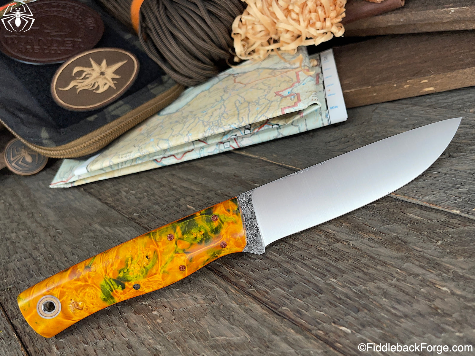 Fiddleback Friday 10/8/21