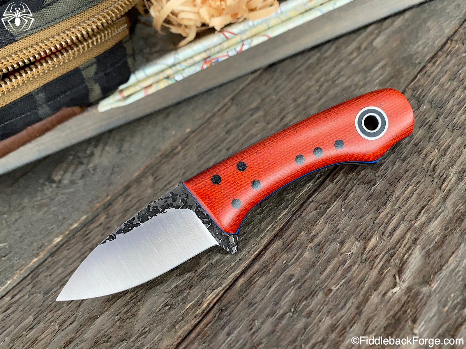 Fiddleback Friday 4/17/20