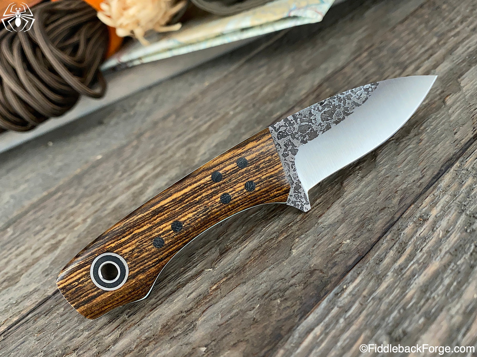 Fiddleback Friday 1/3/20