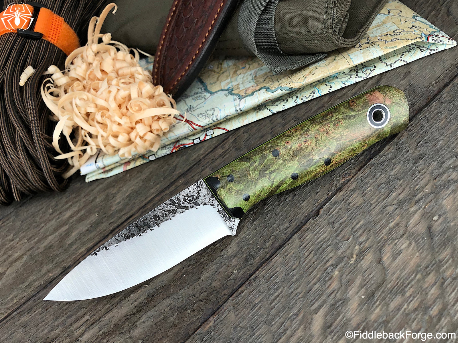 Fiddleback Friday 4/5/19