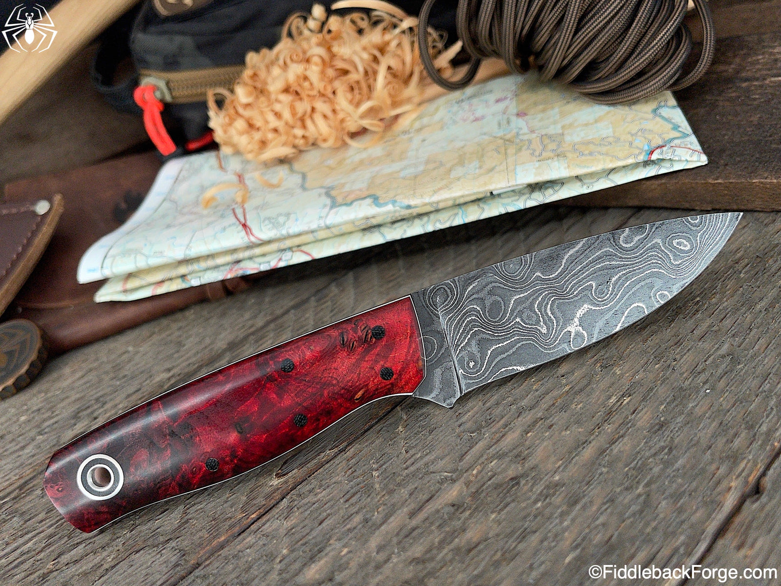 Fiddleback Friday 5/21/21