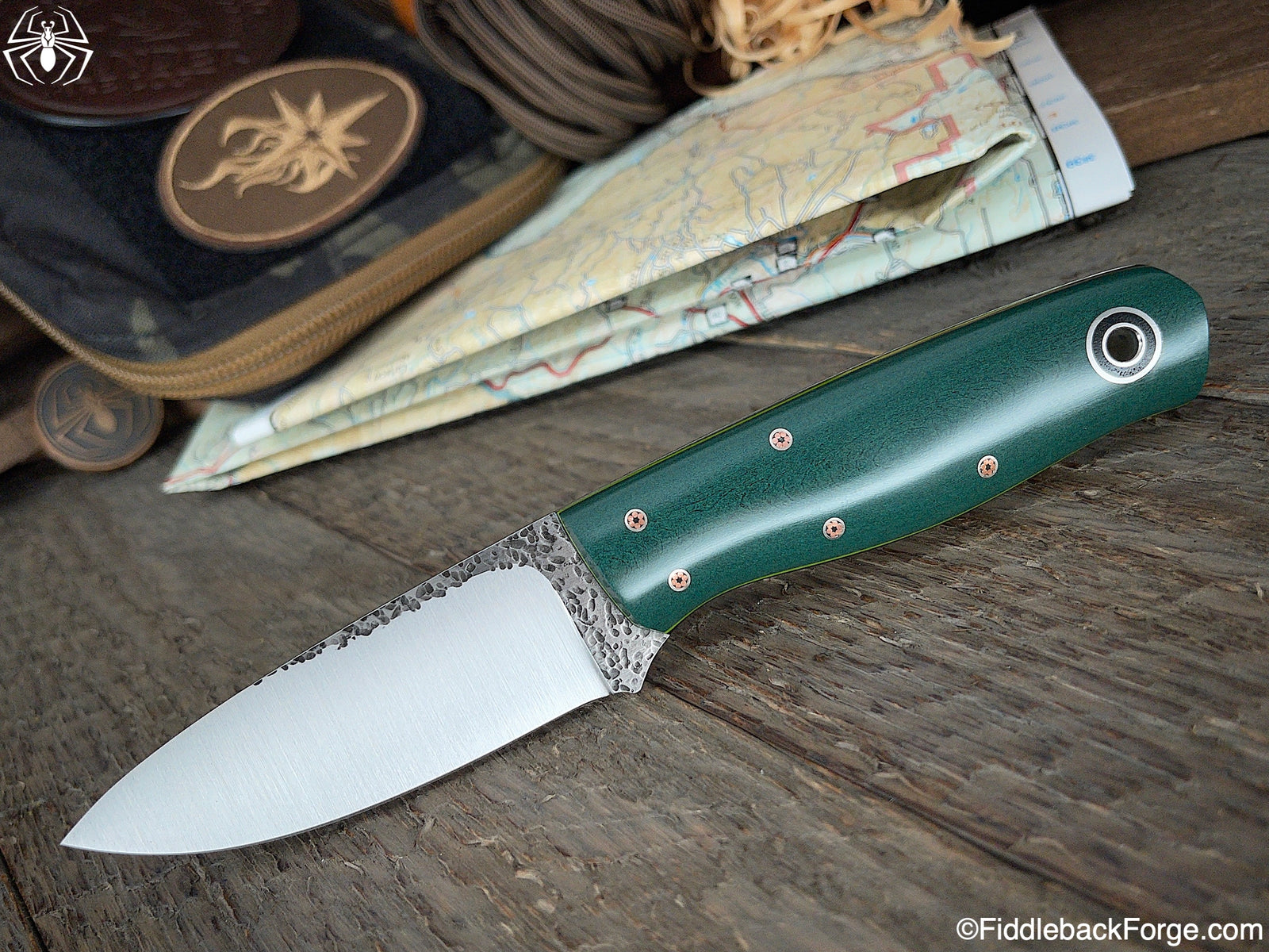 Fiddleback Friday 9/24/21