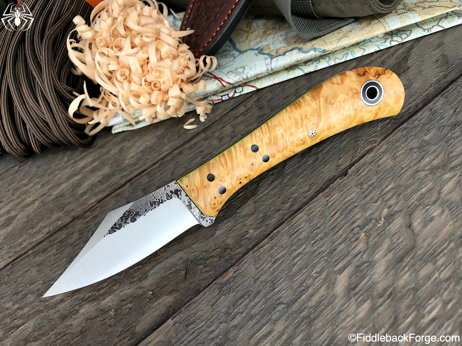 Fiddleback Friday 5/24/19