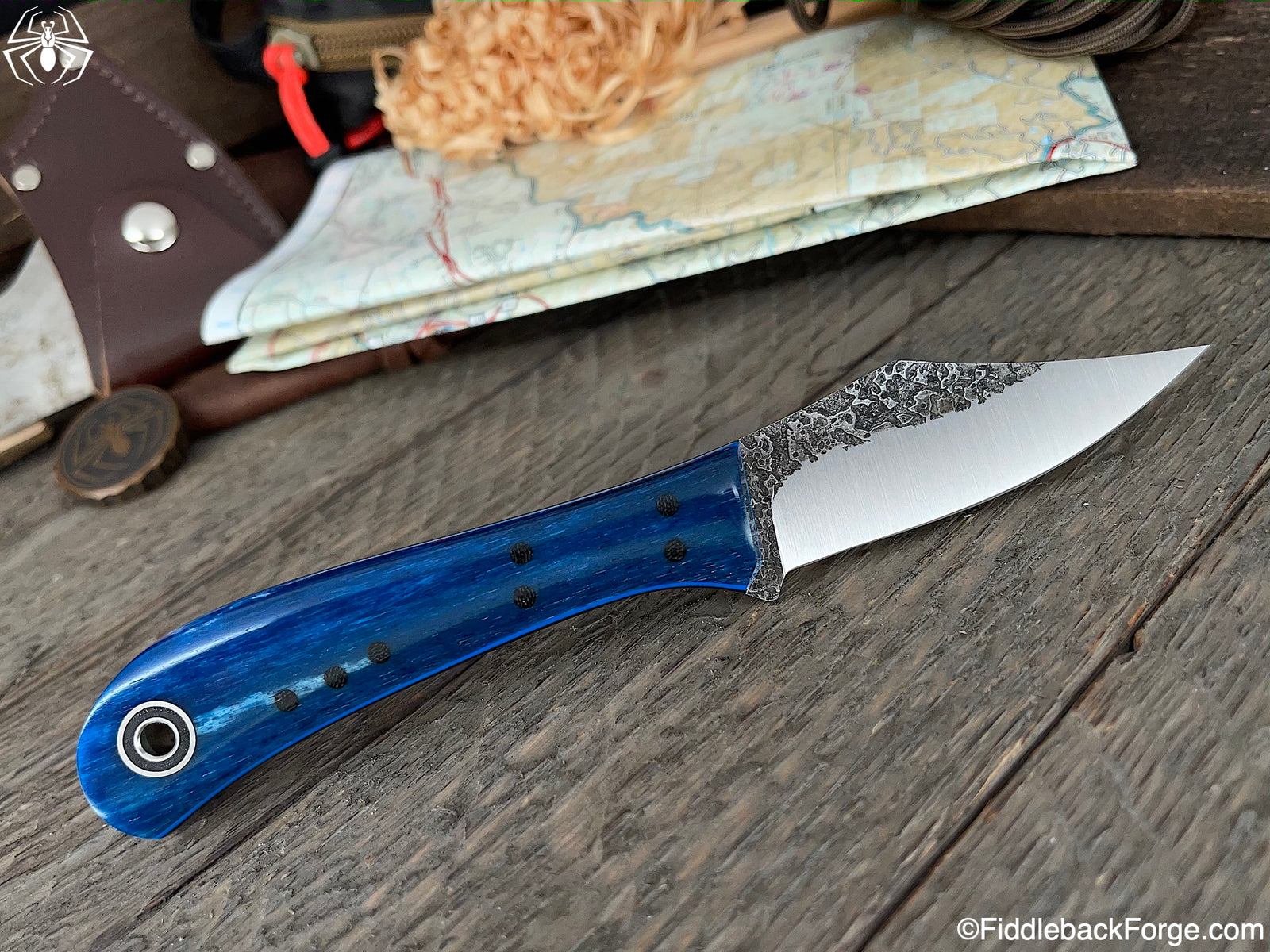 Fiddleback Friday 11/27/20