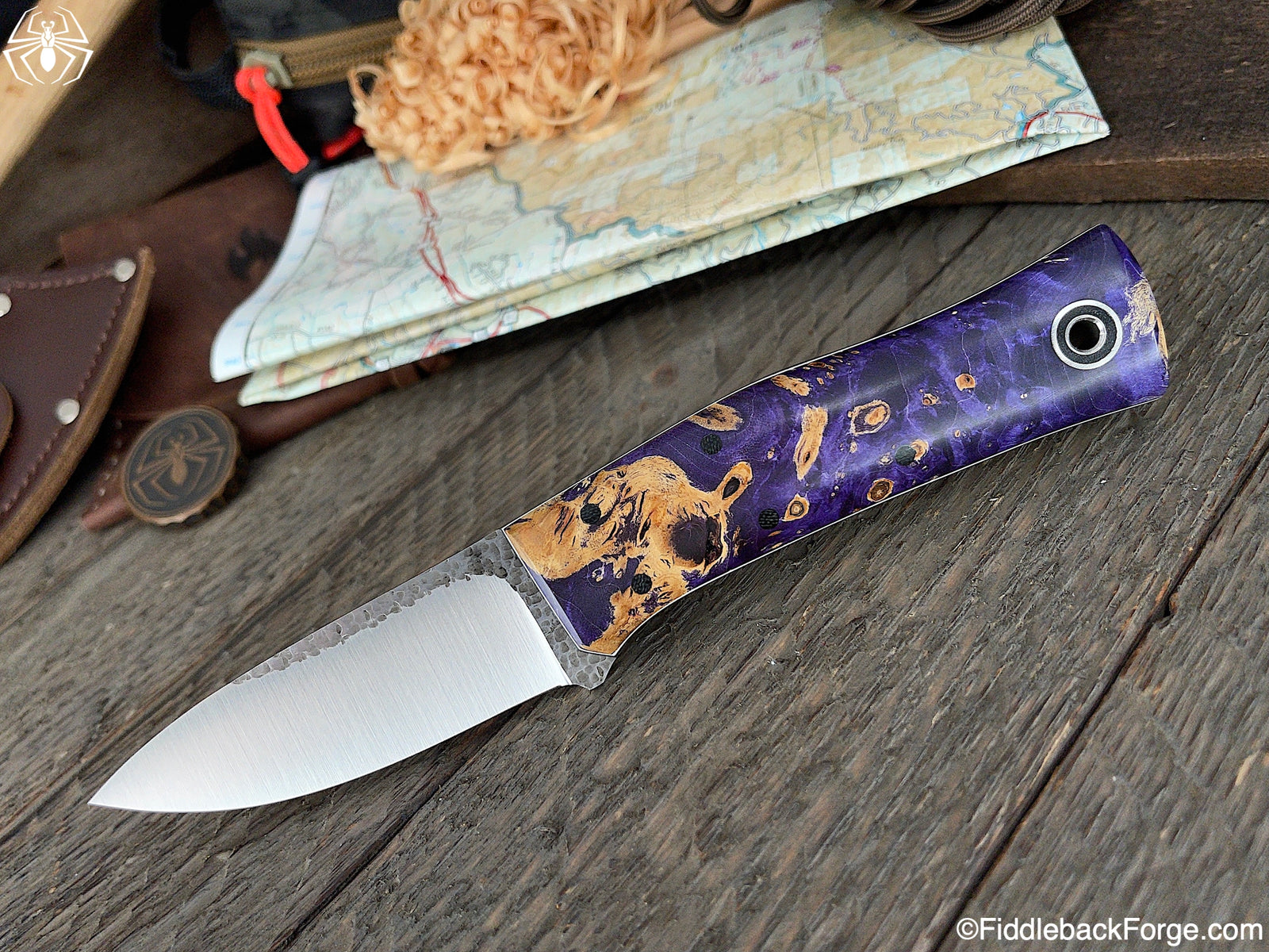 Fiddleback Friday 3/5/21