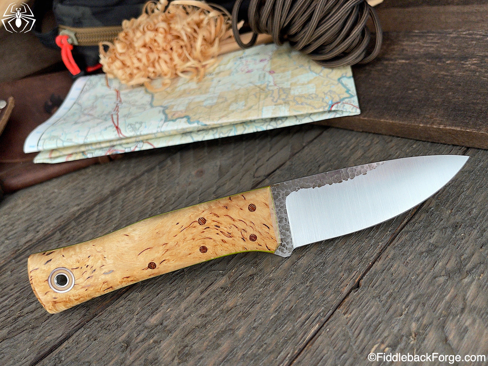 Fiddleback Friday 3/26/21