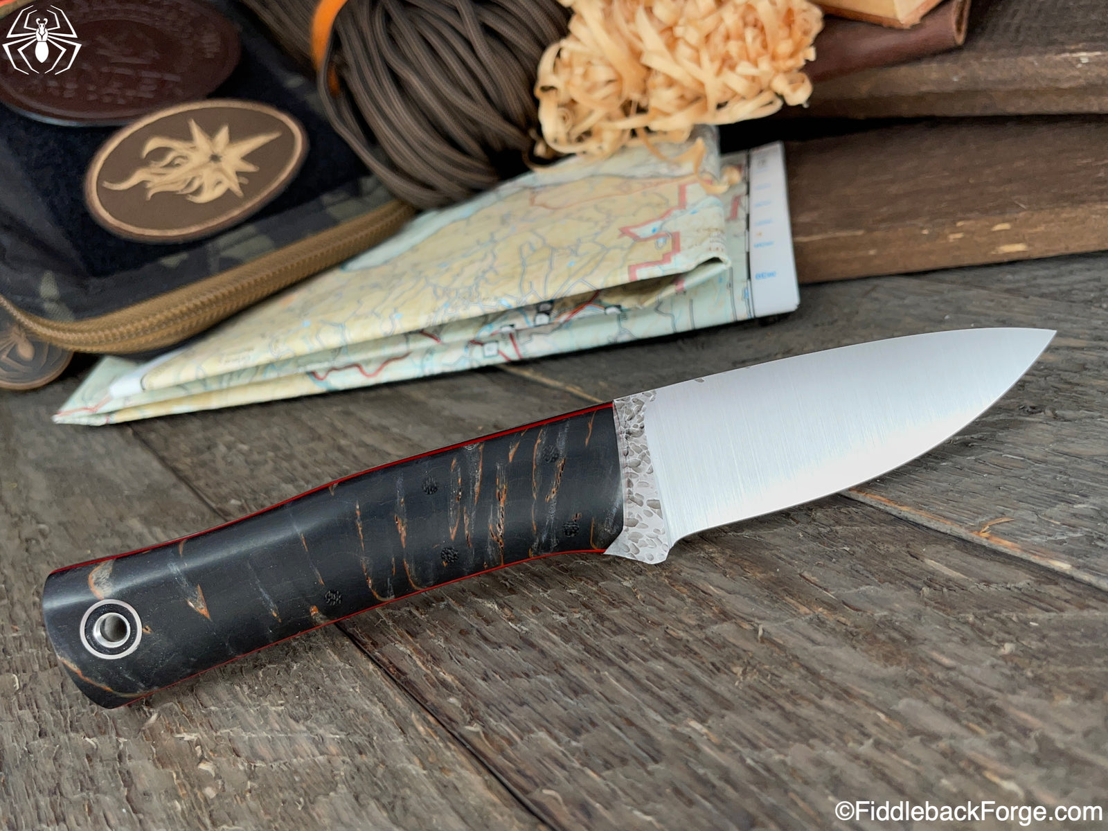 Fiddleback Friday 10/22/21