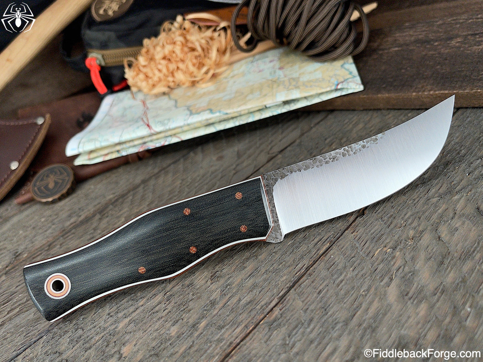 Fiddleback Friday 3/12/21