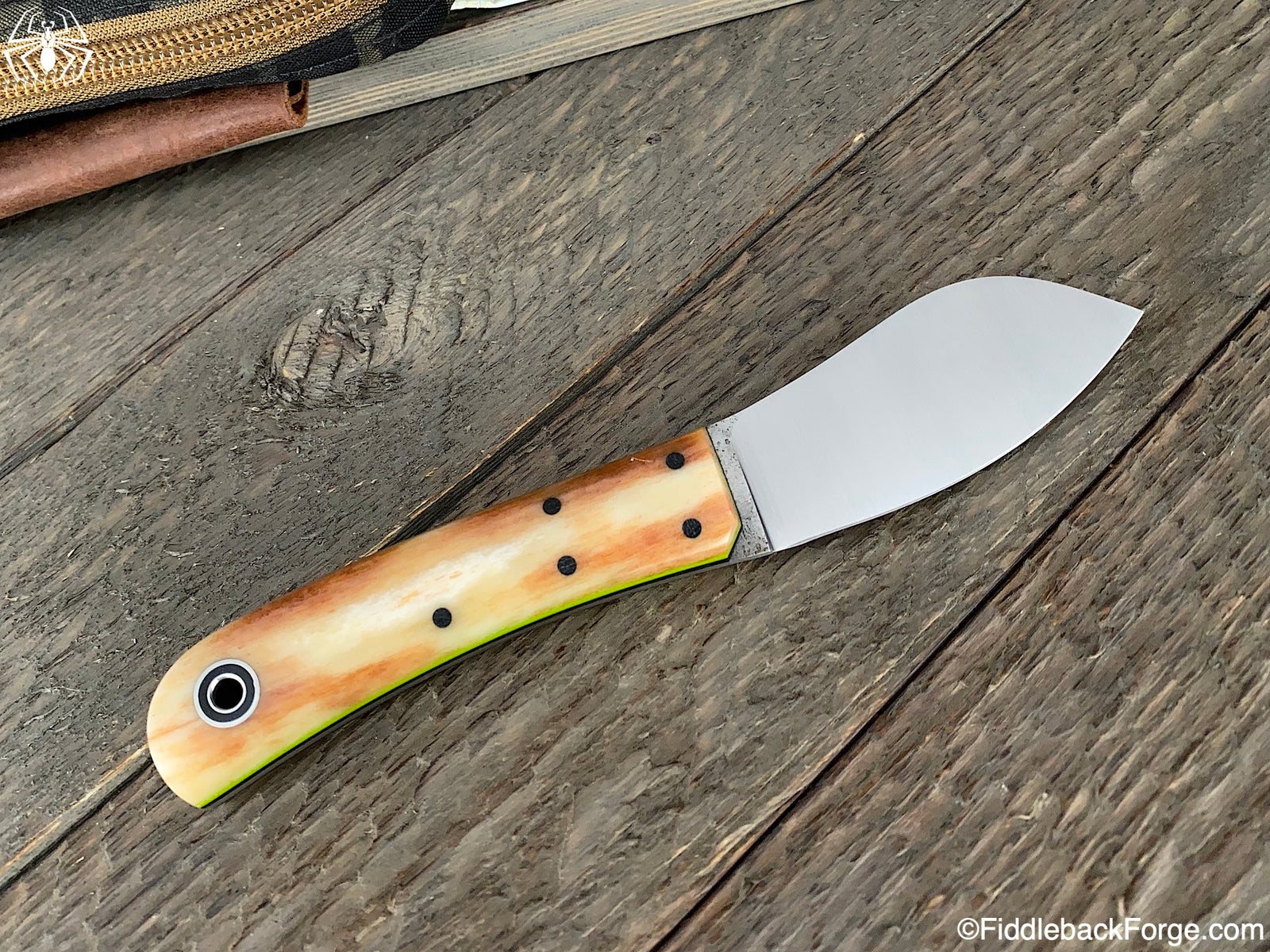 Fiddleback Friday 7/17/20