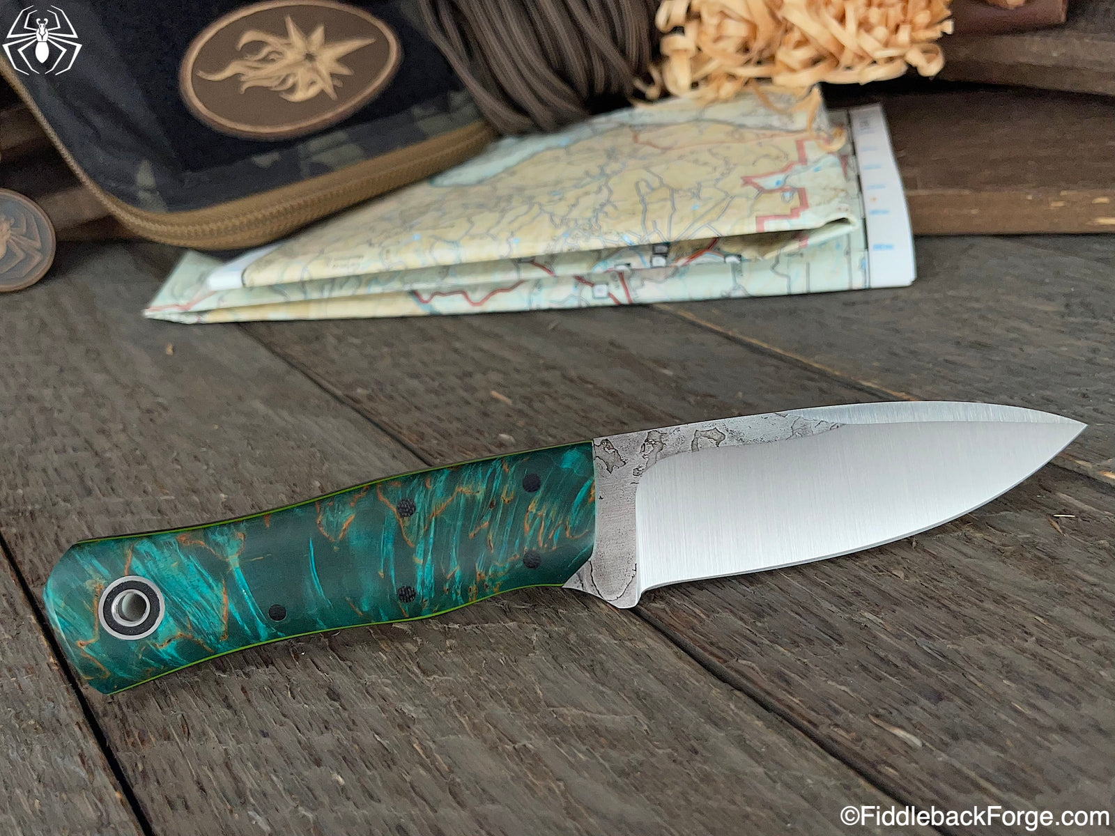 Fiddleback Friday 2/11/22