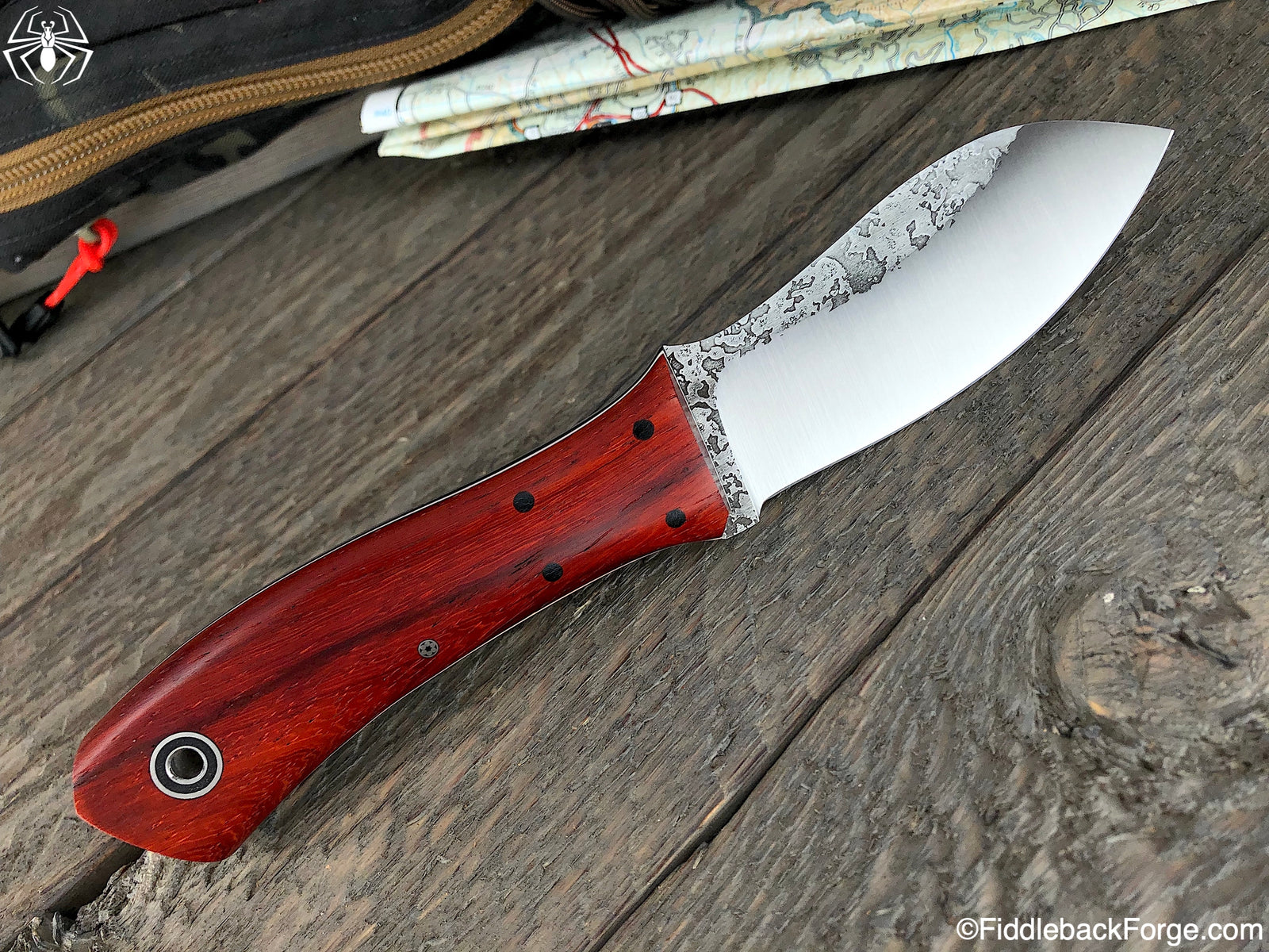 Fiddleback Friday 9/6/19