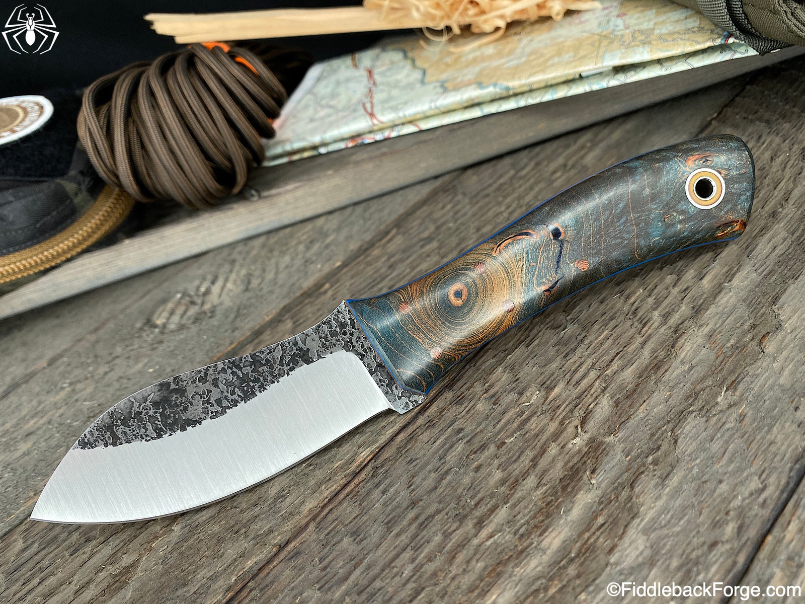 Fiddleback Friday 3/13/2020