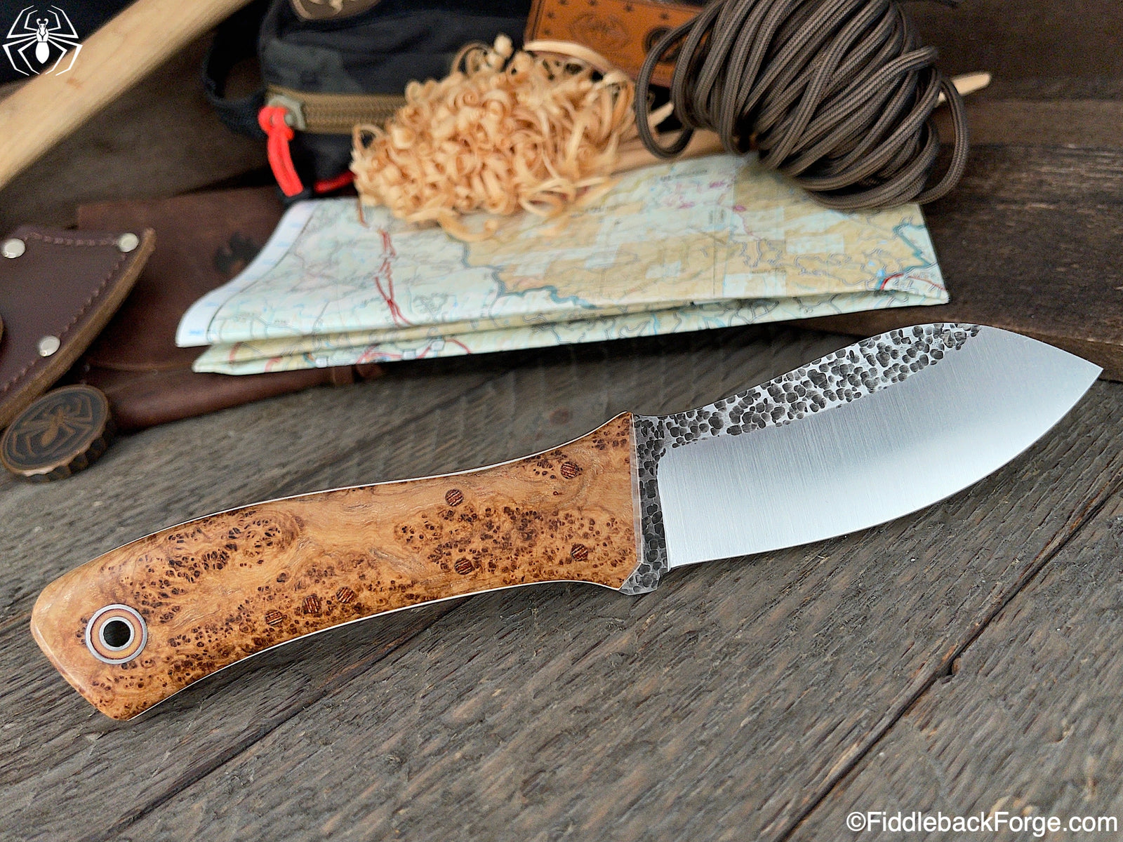 Fiddleback Friday 4/9/21