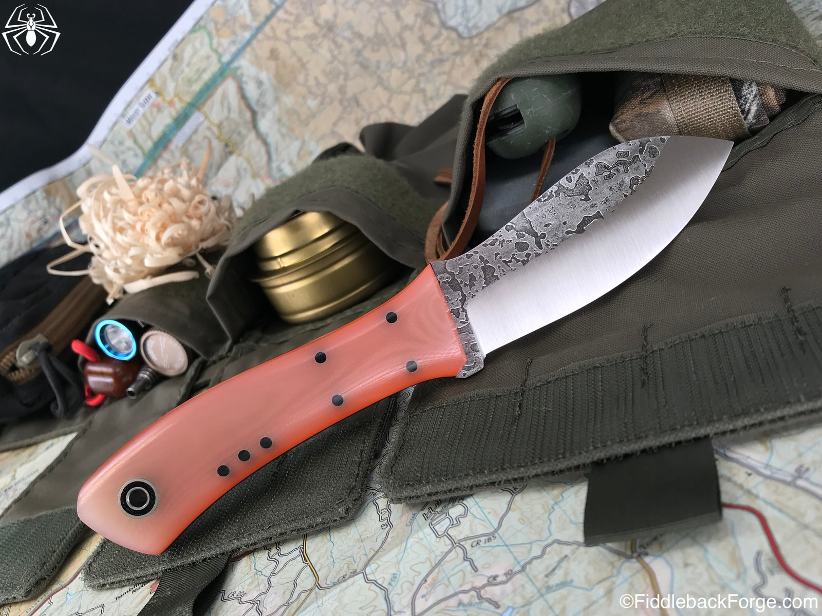 Fiddleback Friday 9/07/18