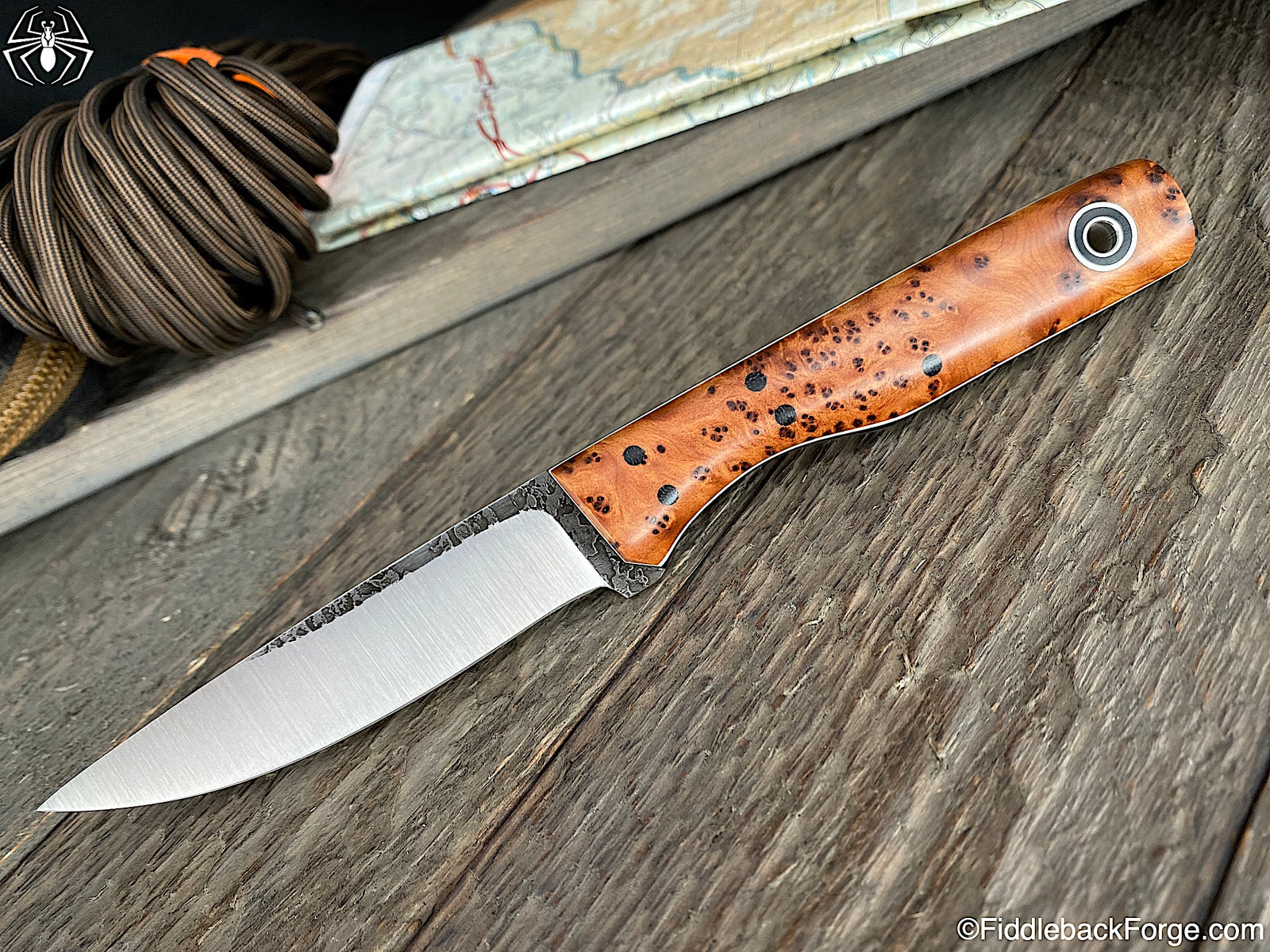 Fiddleback Friday 3/20/20