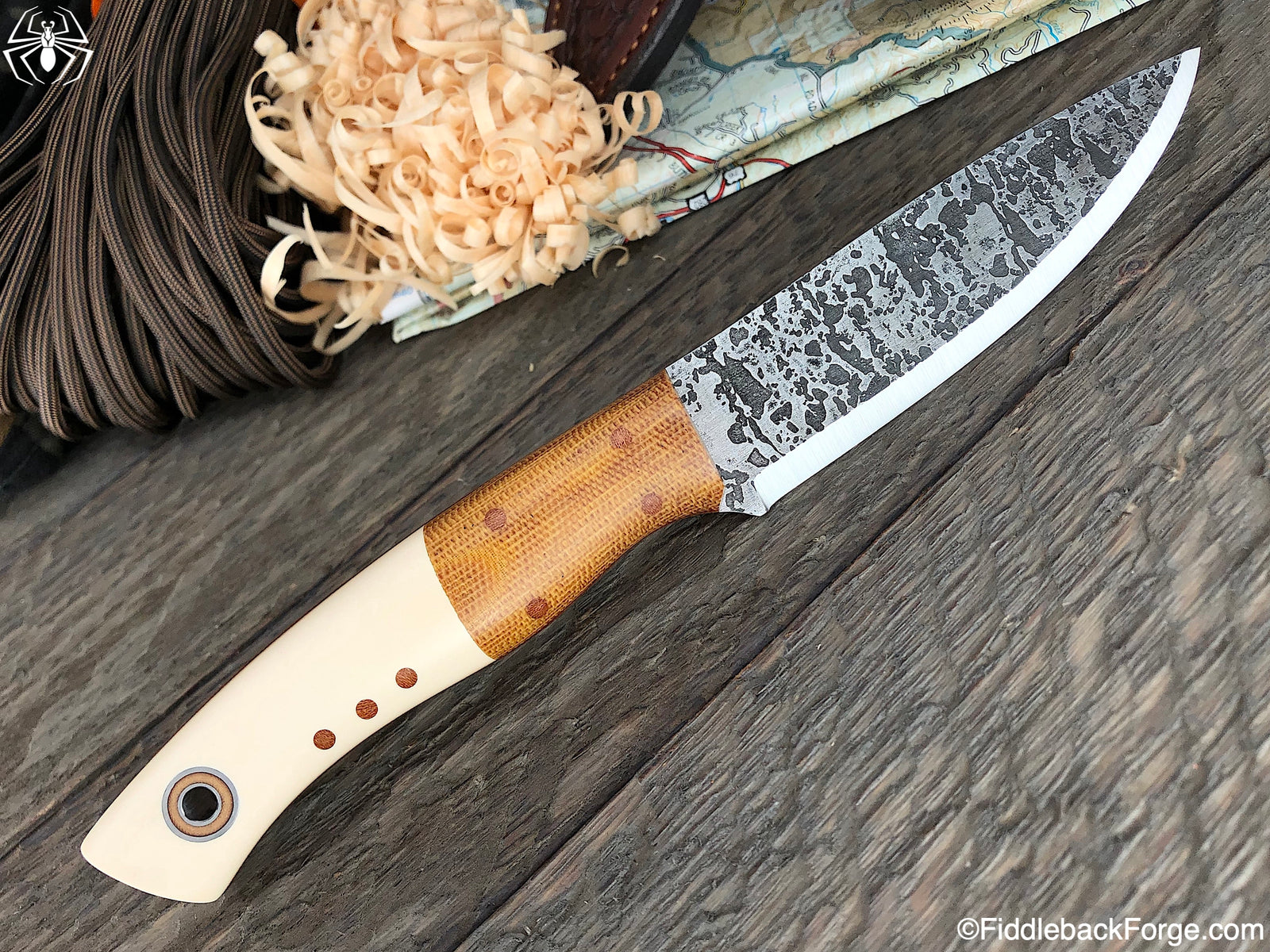 Fiddleback Friday 5/17/19