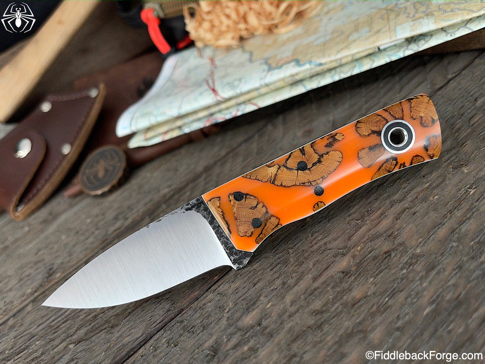 Fiddleback Friday 2/19/21