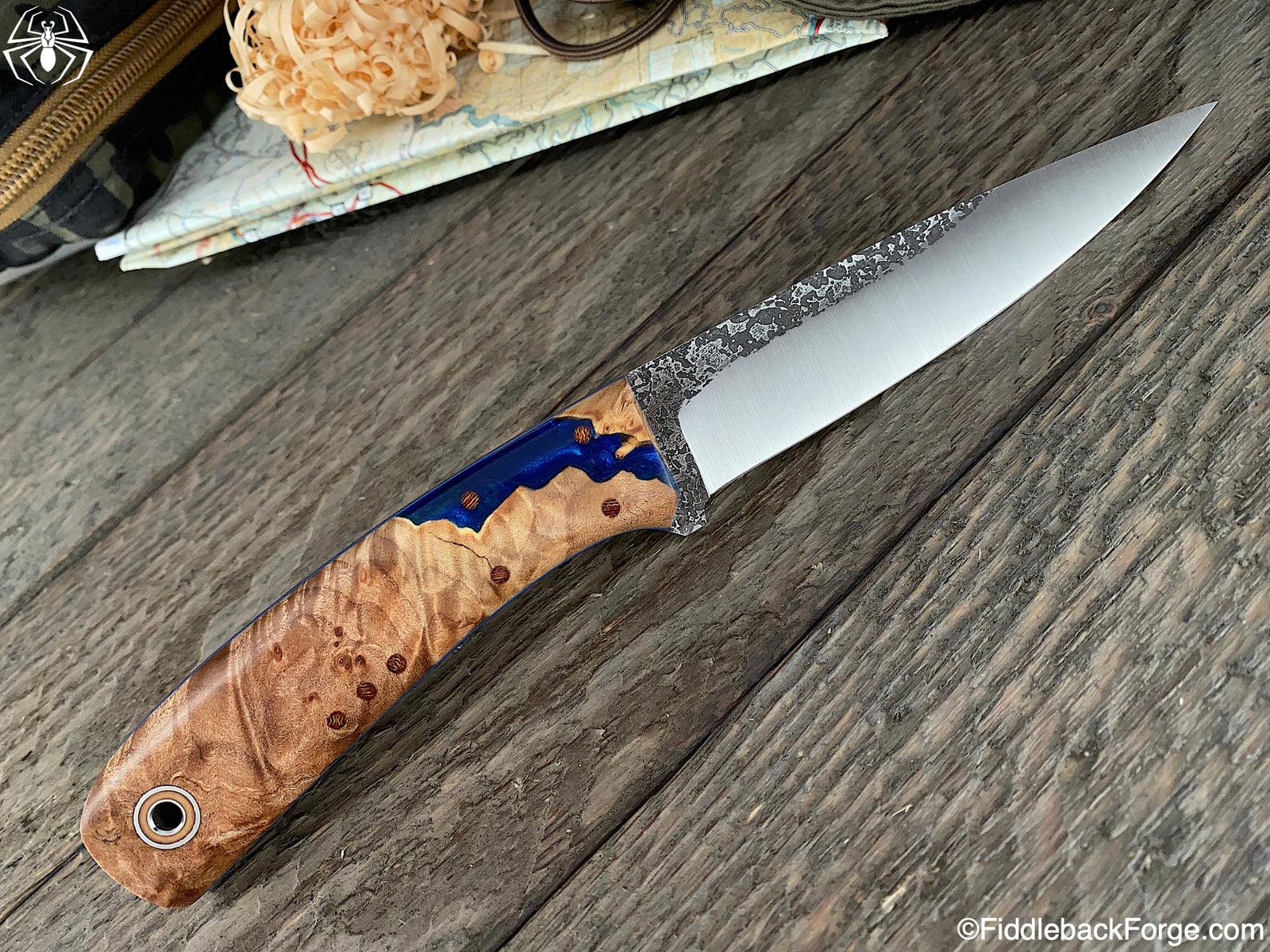 Fiddleback Friday 10/18/19