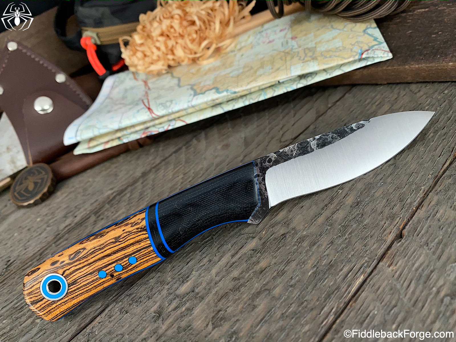 Fiddleback Friday 11/13/20