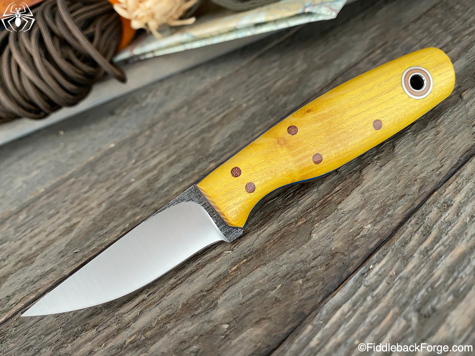 Fiddleback Friday 1/10/20