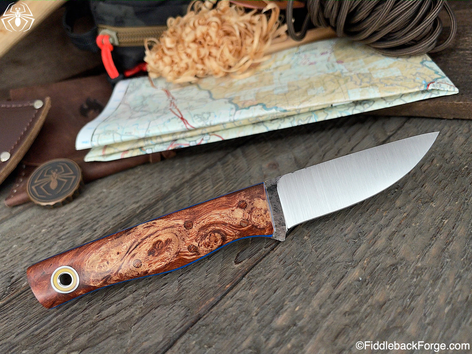 Fiddleback Friday 2/26/21