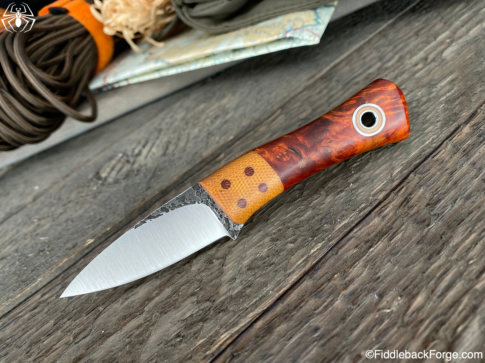 Fiddleback Friday 2/14/20