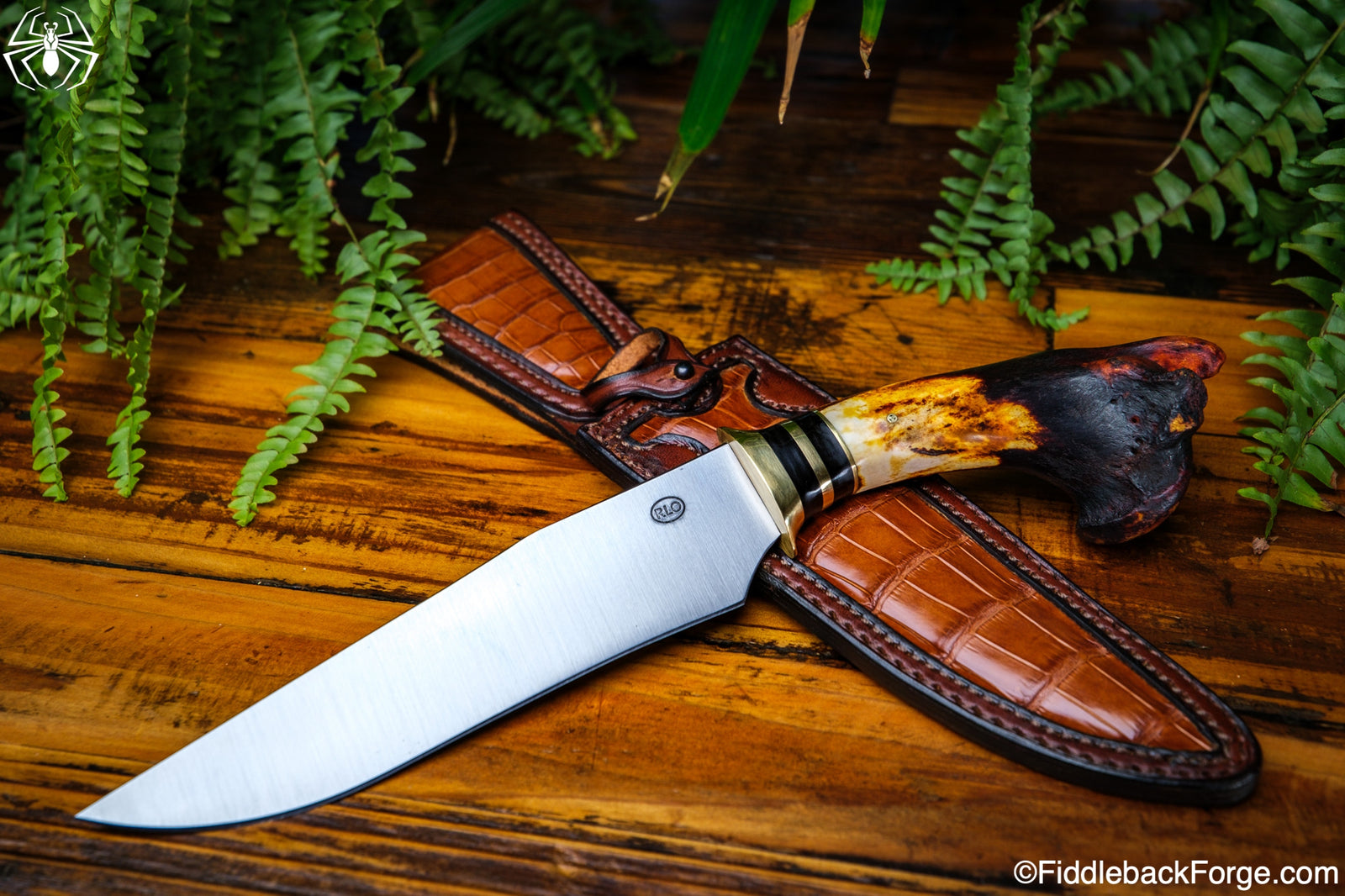 Fiddleback Friday 10/21/22