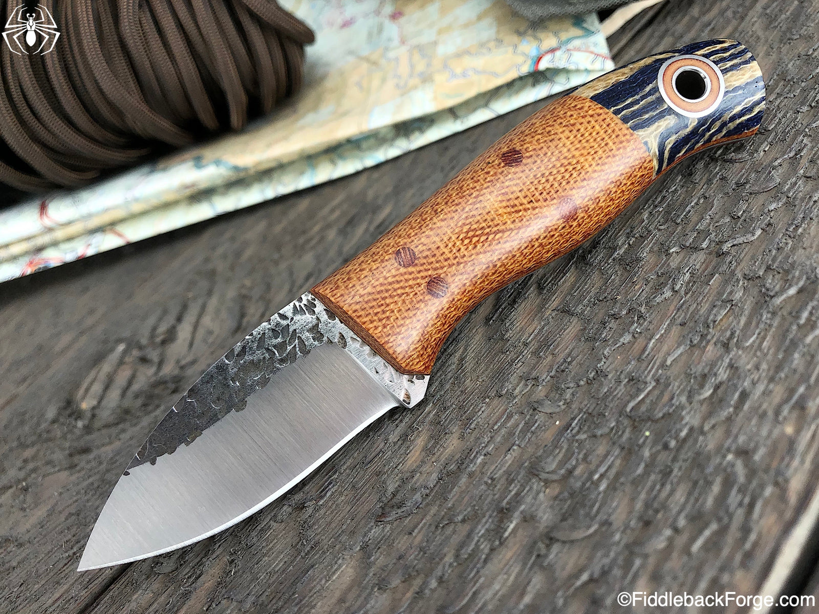 Fiddleback Friday 7/12/19