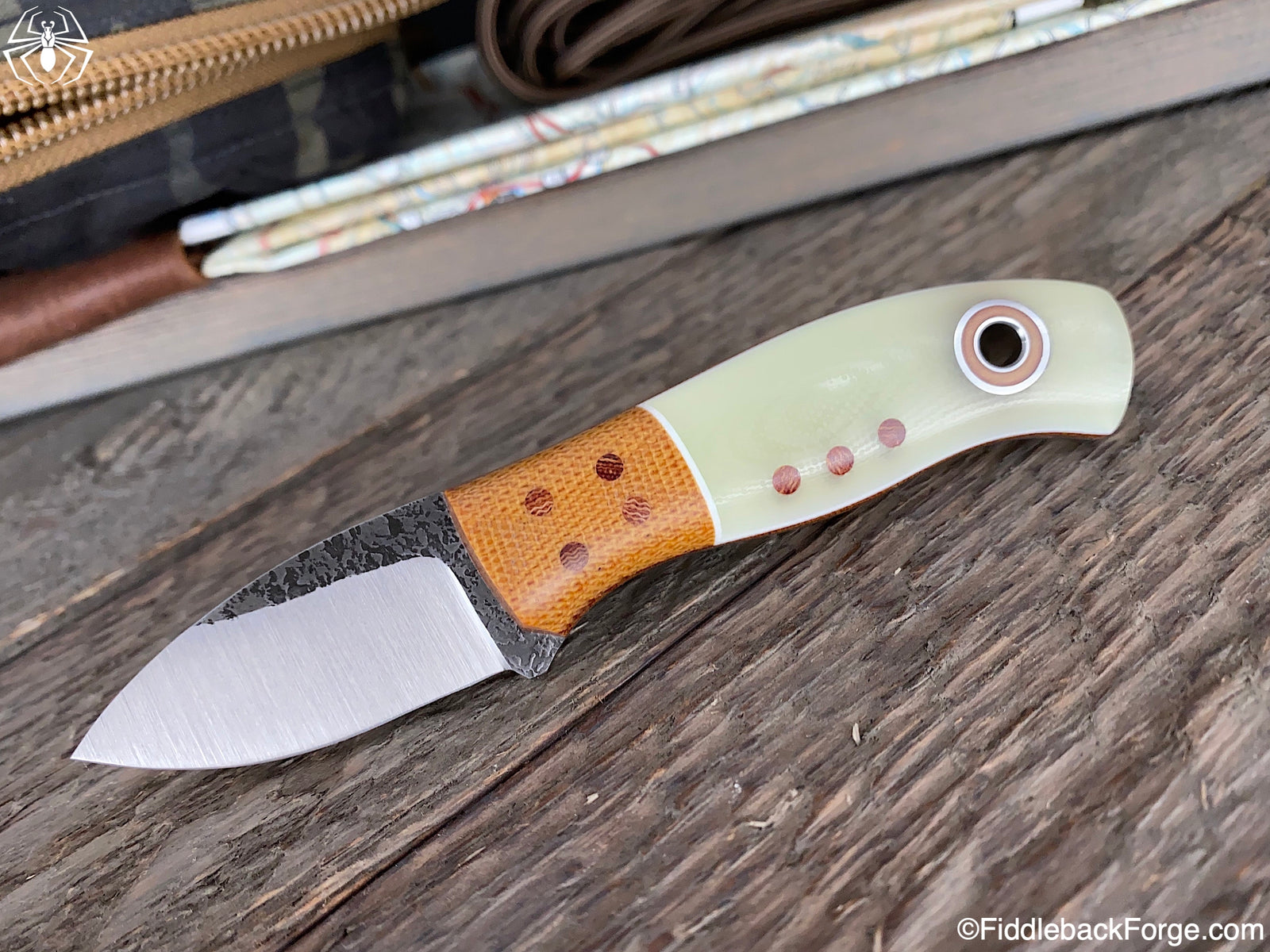 Fiddleback Friday 4/10/20