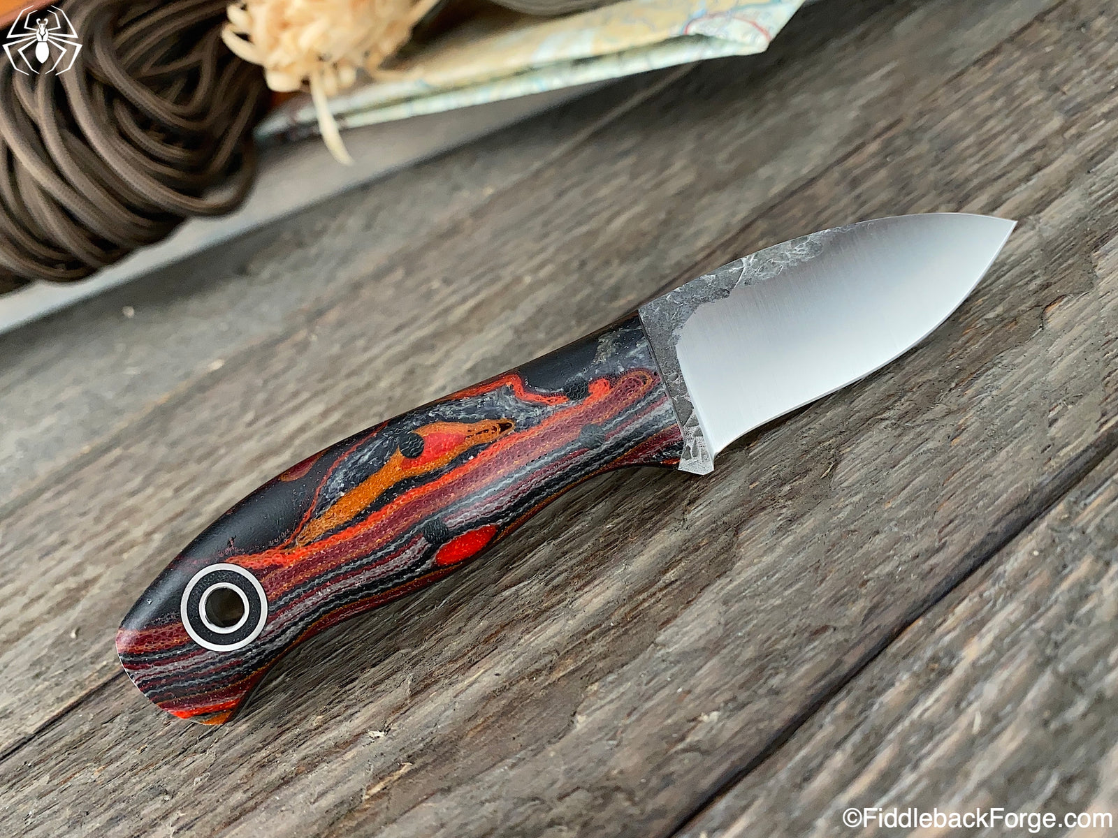 Fiddleback Friday 12/20/19