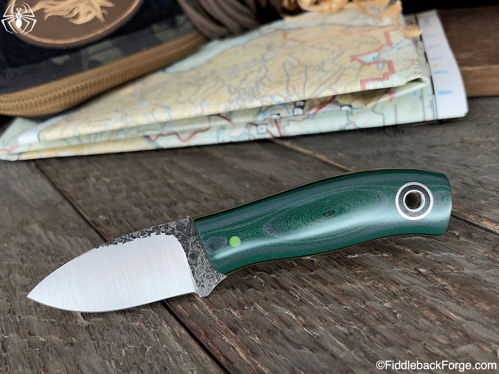 Fiddleback Friday 11/26/21