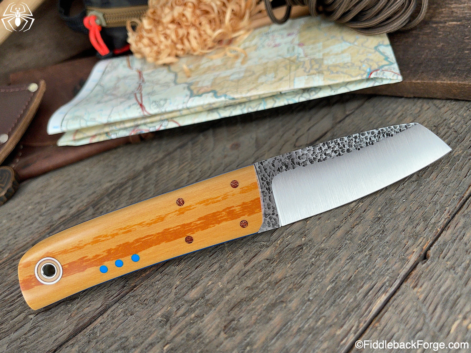 Fiddleback Friday 7/16/21