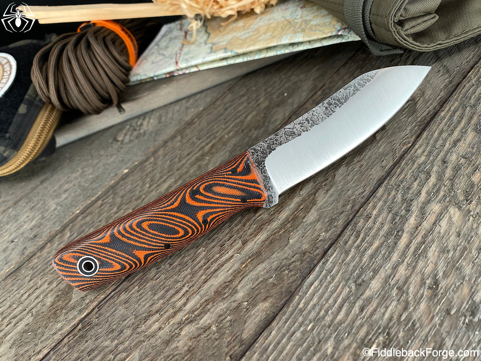 Fiddleback Friday 2/21/2020