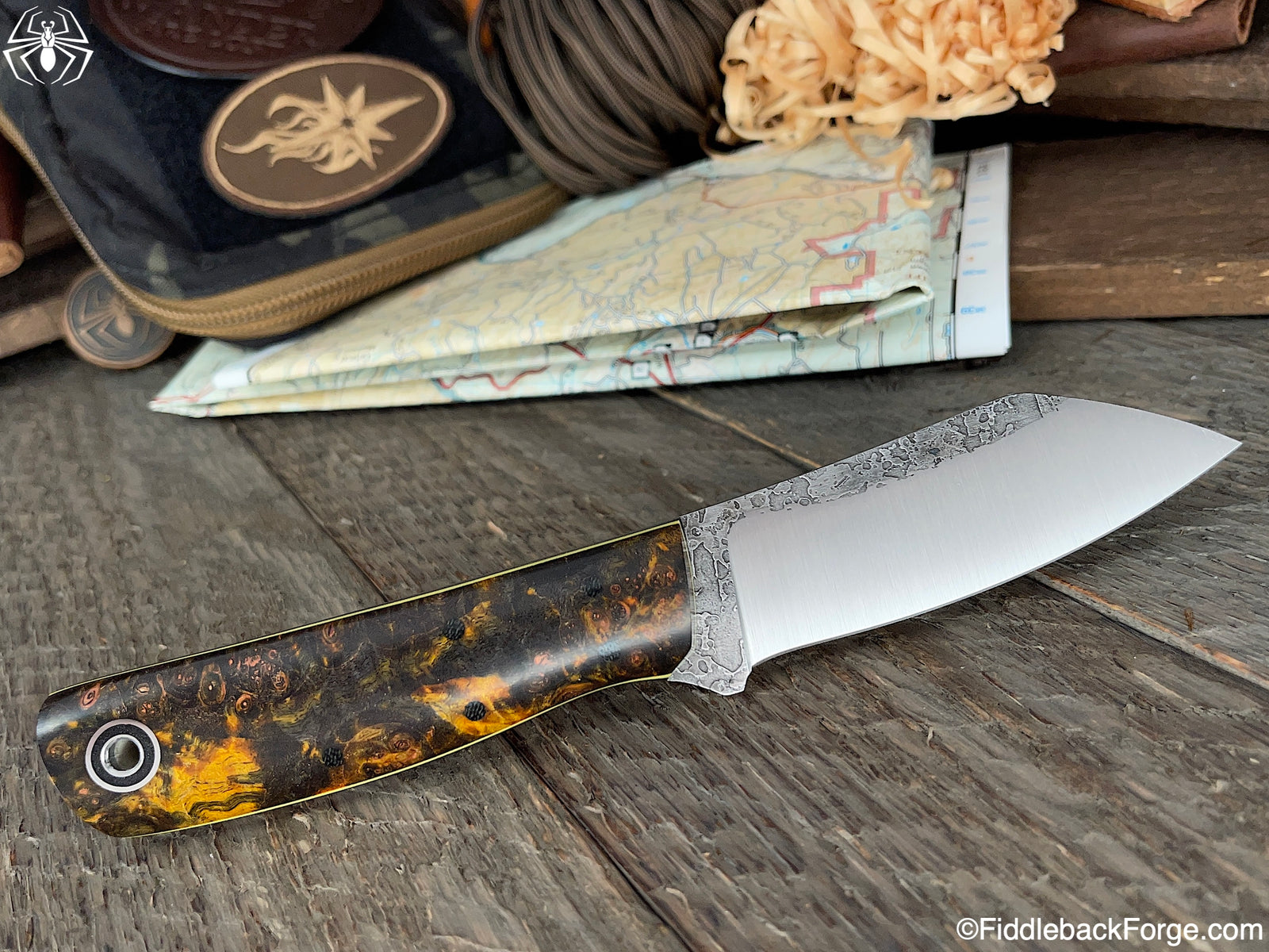 Fiddleback Friday 10/15/21