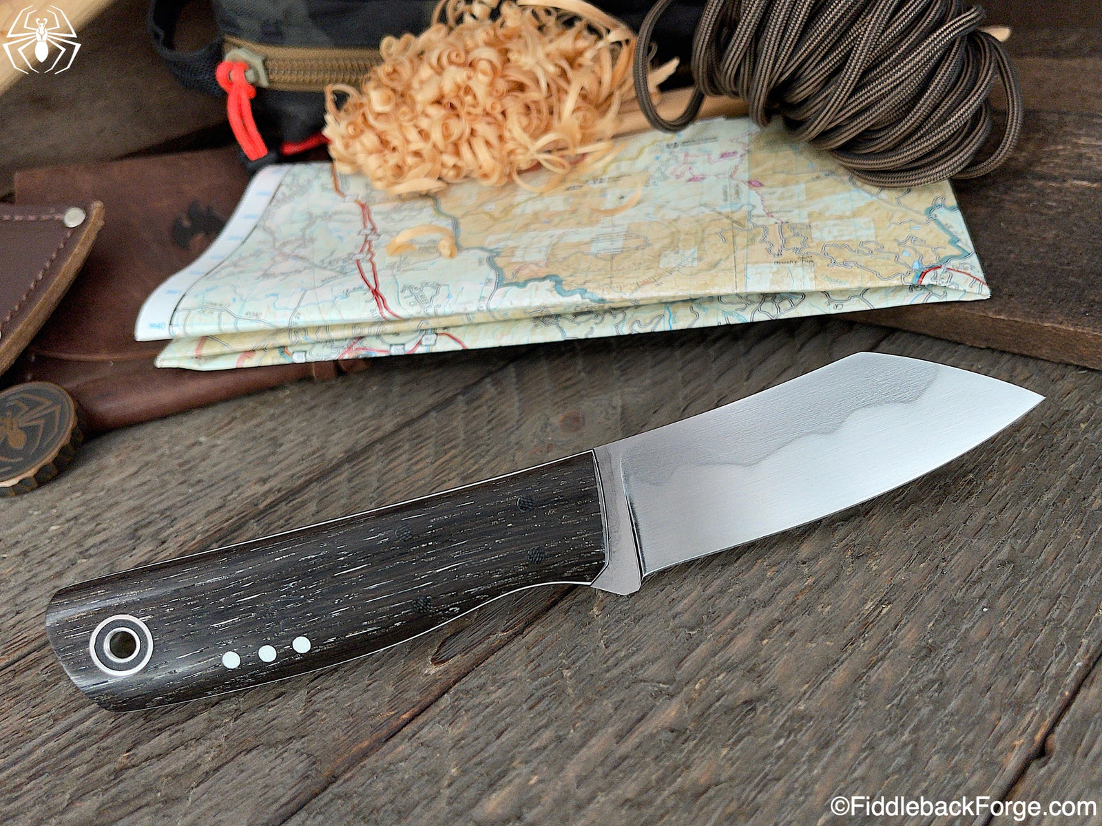 Fiddleback Friday 5/14/21 (Corrected)