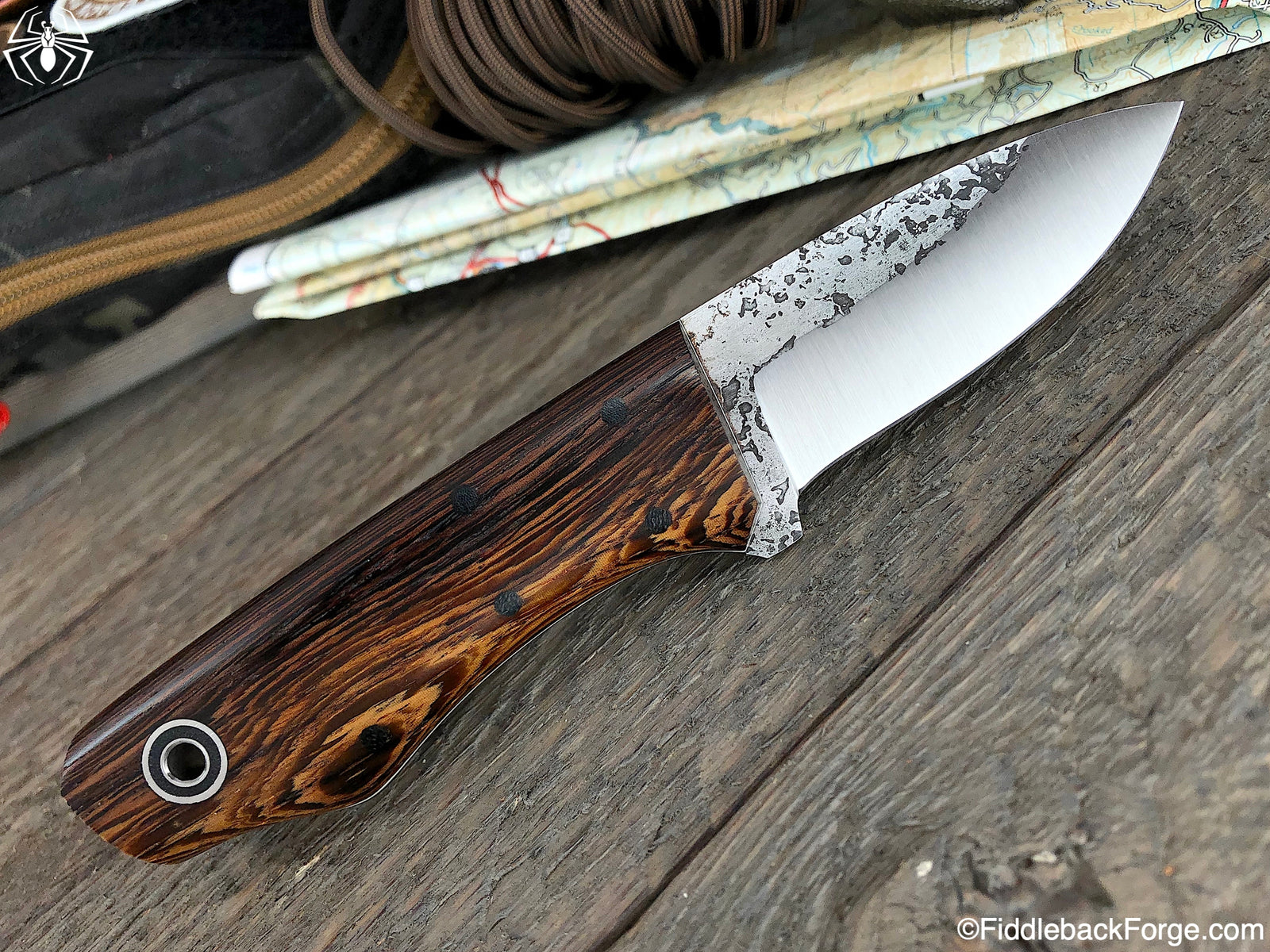 Fiddleback Friday 9/13/19