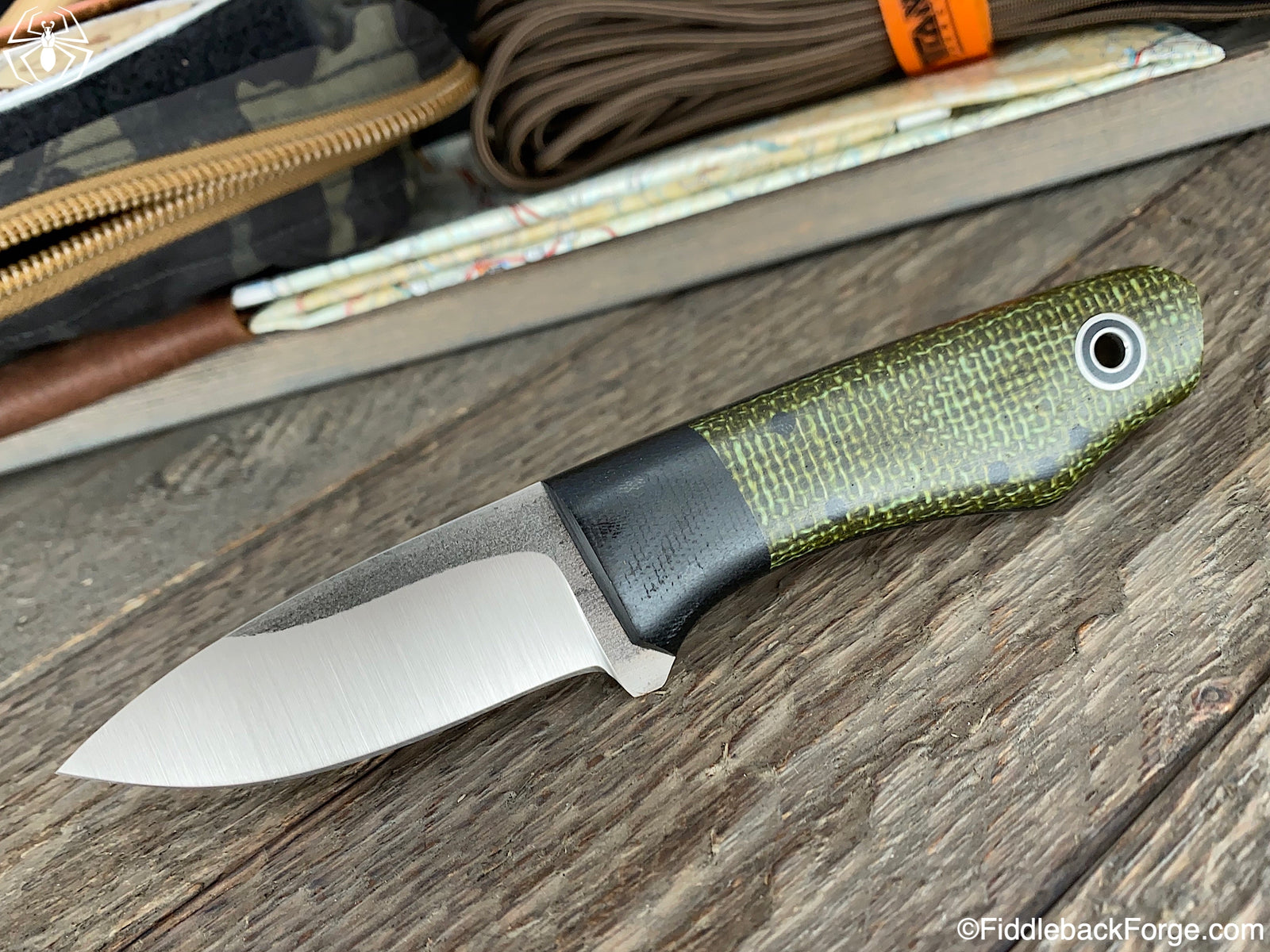 Fiddleback Friday 4/3/20