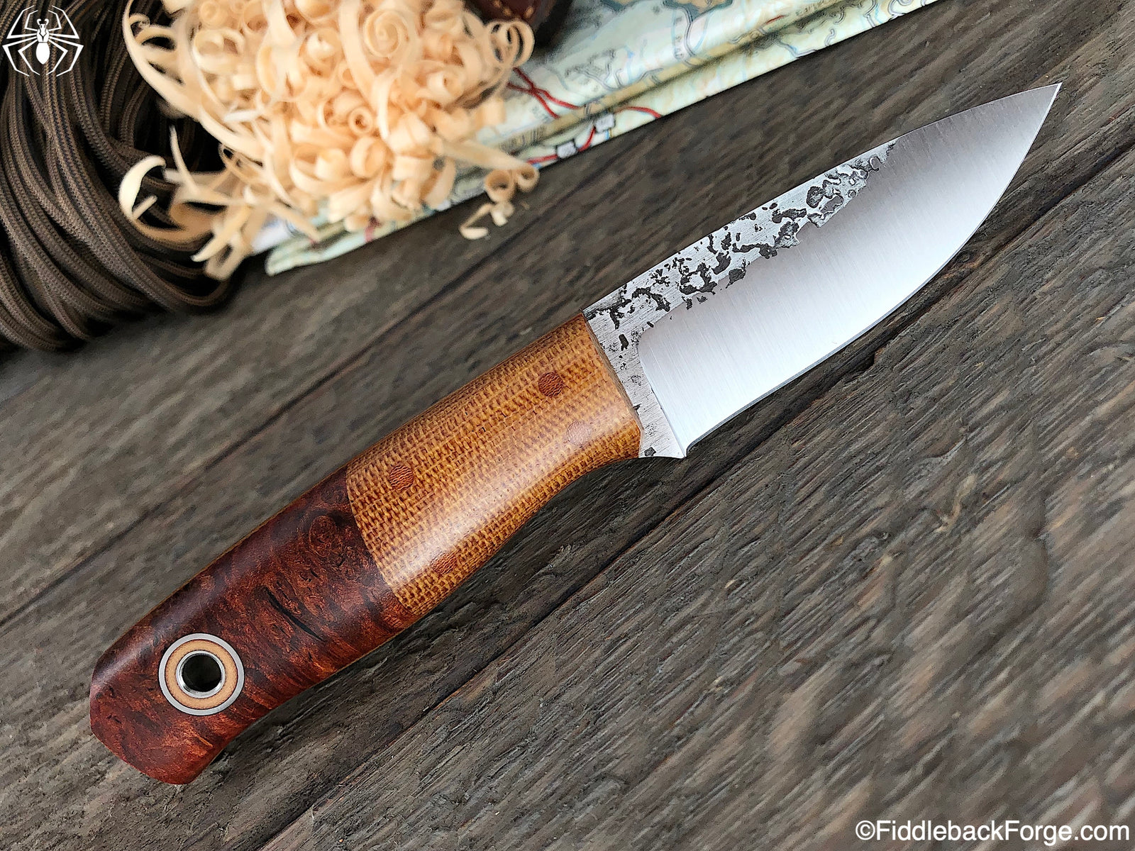 Fiddleback Friday 6/7/19