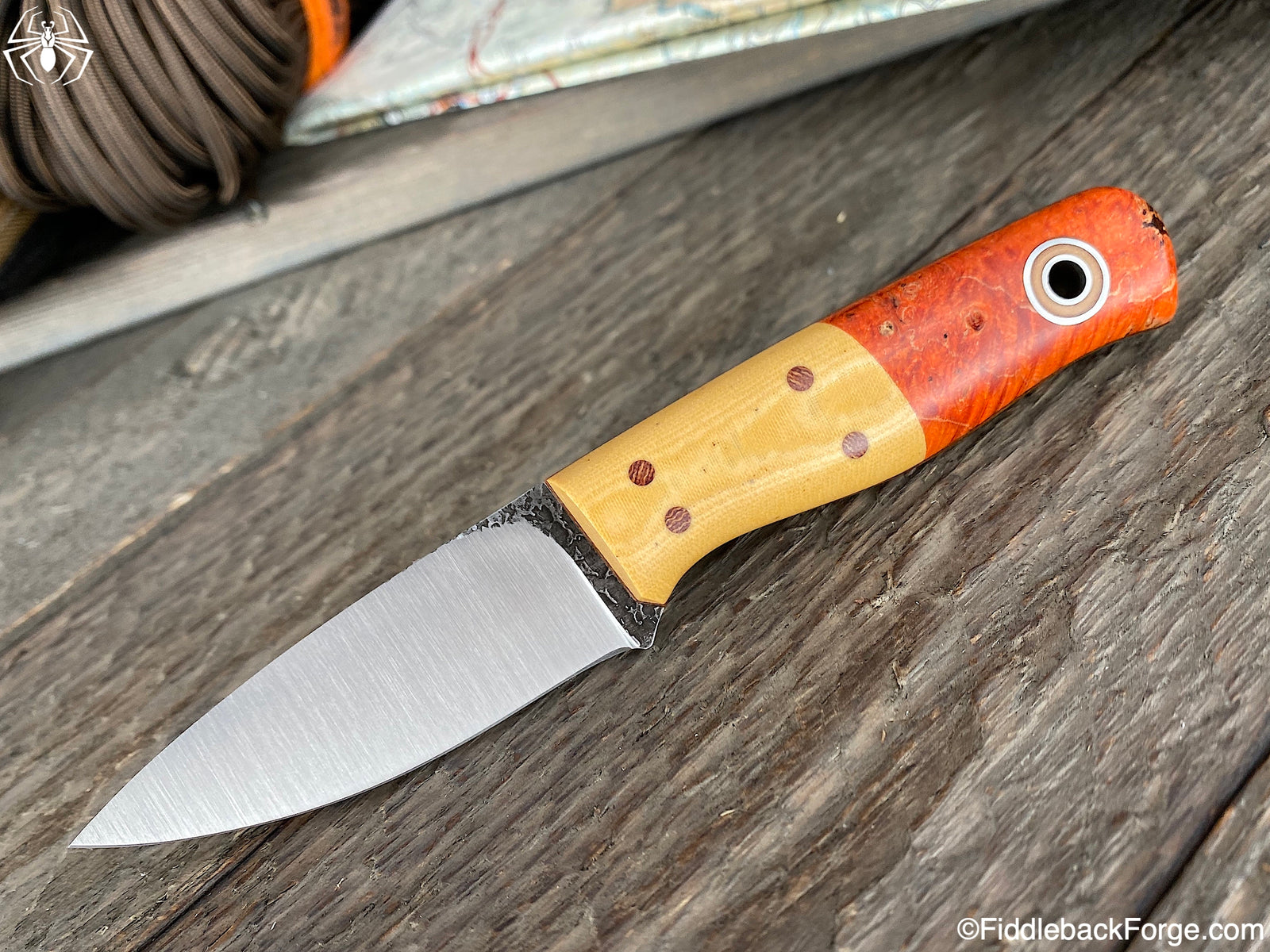 Fiddleback Friday 2/28/20