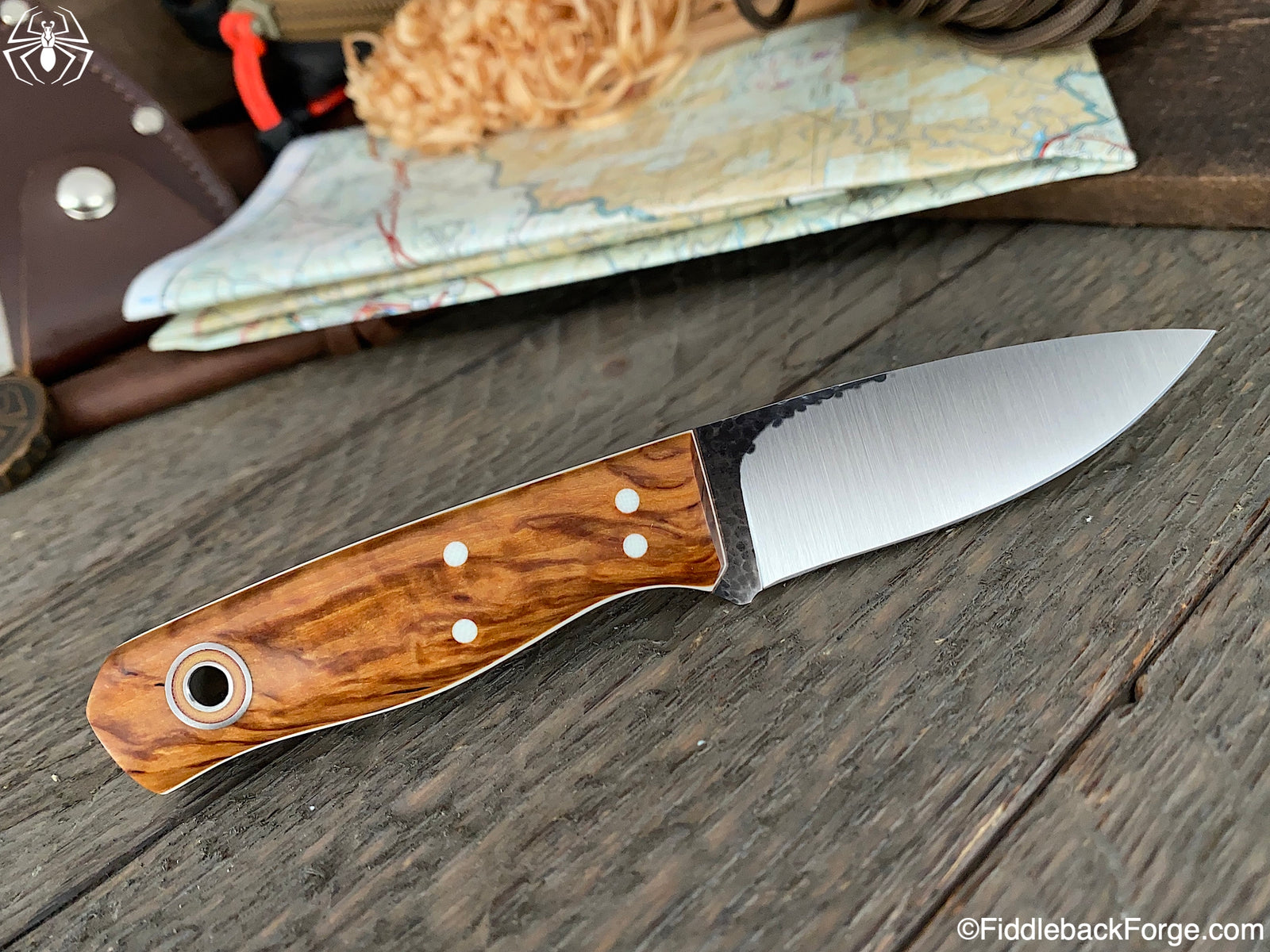 Fiddleback Friday 9/18/20